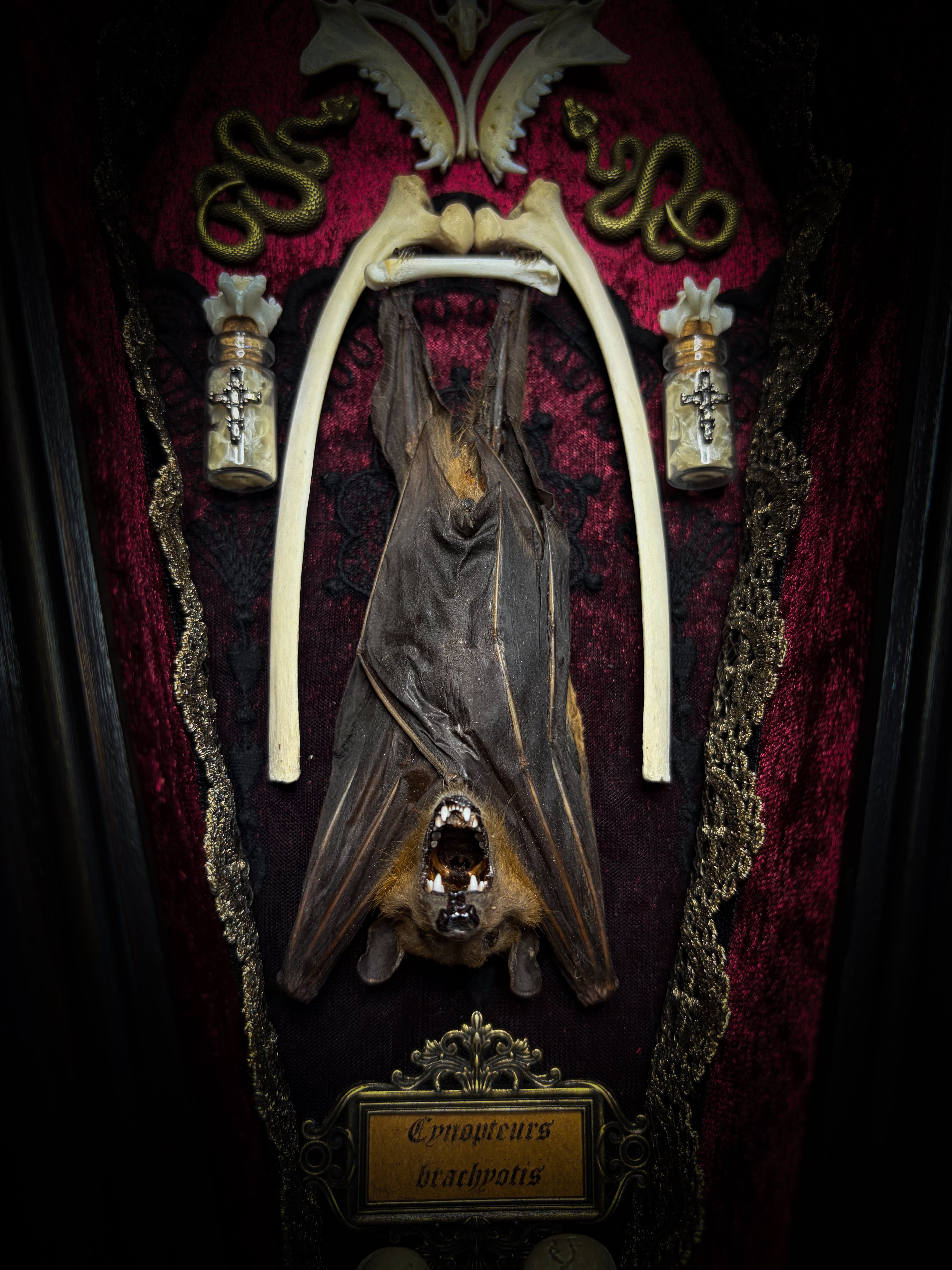 Bat Wooden Coffins — handmade gothic coffin shadowbox, made to order. Handbuilt wooden coffin frame with bat specimen, velvet background, ornate decorations and ritual details. Dark gothic wall and altar decor, made from scratch.