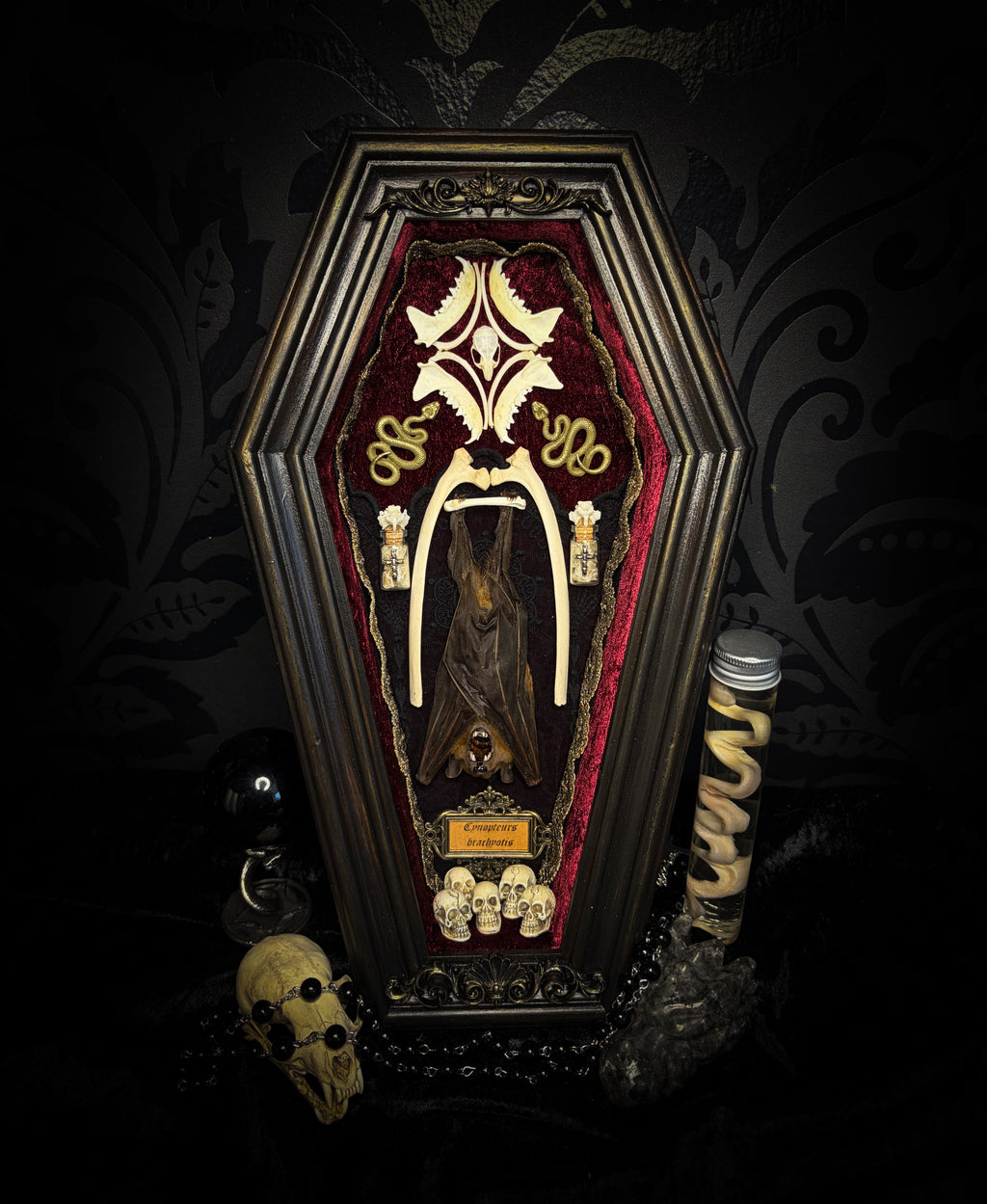 Bat Wooden Coffins — handmade gothic coffin shadowbox, made to order. Handbuilt wooden coffin frame with bat specimen, velvet background, ornate decorations and ritual details. Dark gothic wall and altar decor, made from scratch.