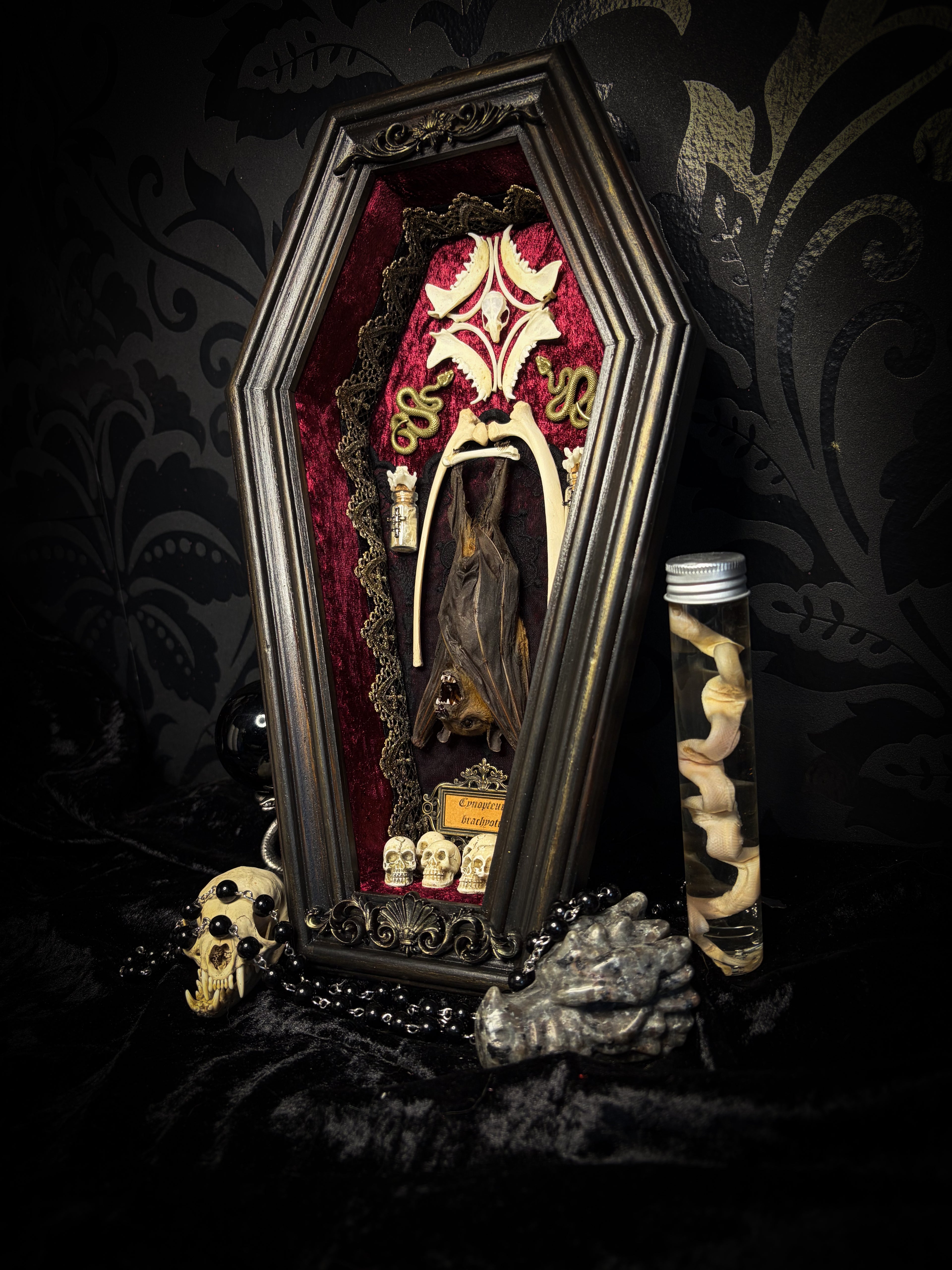 Bat Wooden Coffins — handmade gothic coffin shadowbox, made to order. Handbuilt wooden coffin frame with bat specimen, velvet background, ornate decorations and ritual details. Dark gothic wall and altar decor, made from scratch.