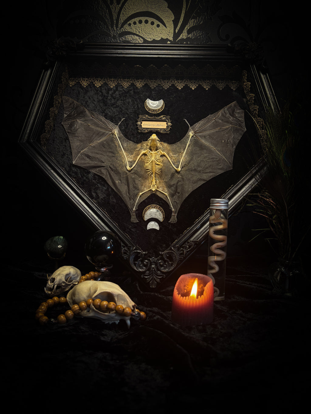 Moonlit Bat | Shadowbox — massive handmade black wooden shadowbox with a half-mummified, half-skeletal bat, three quartz moons, black velvet and gold lace.