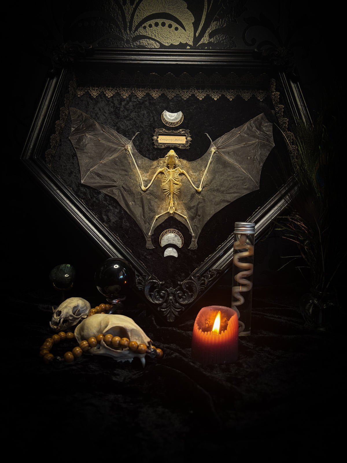 Moonlit Bat | Shadowbox — massive handmade black wooden shadowbox with a half-mummified, half-skeletal bat, three quartz moons, black velvet and gold lace.