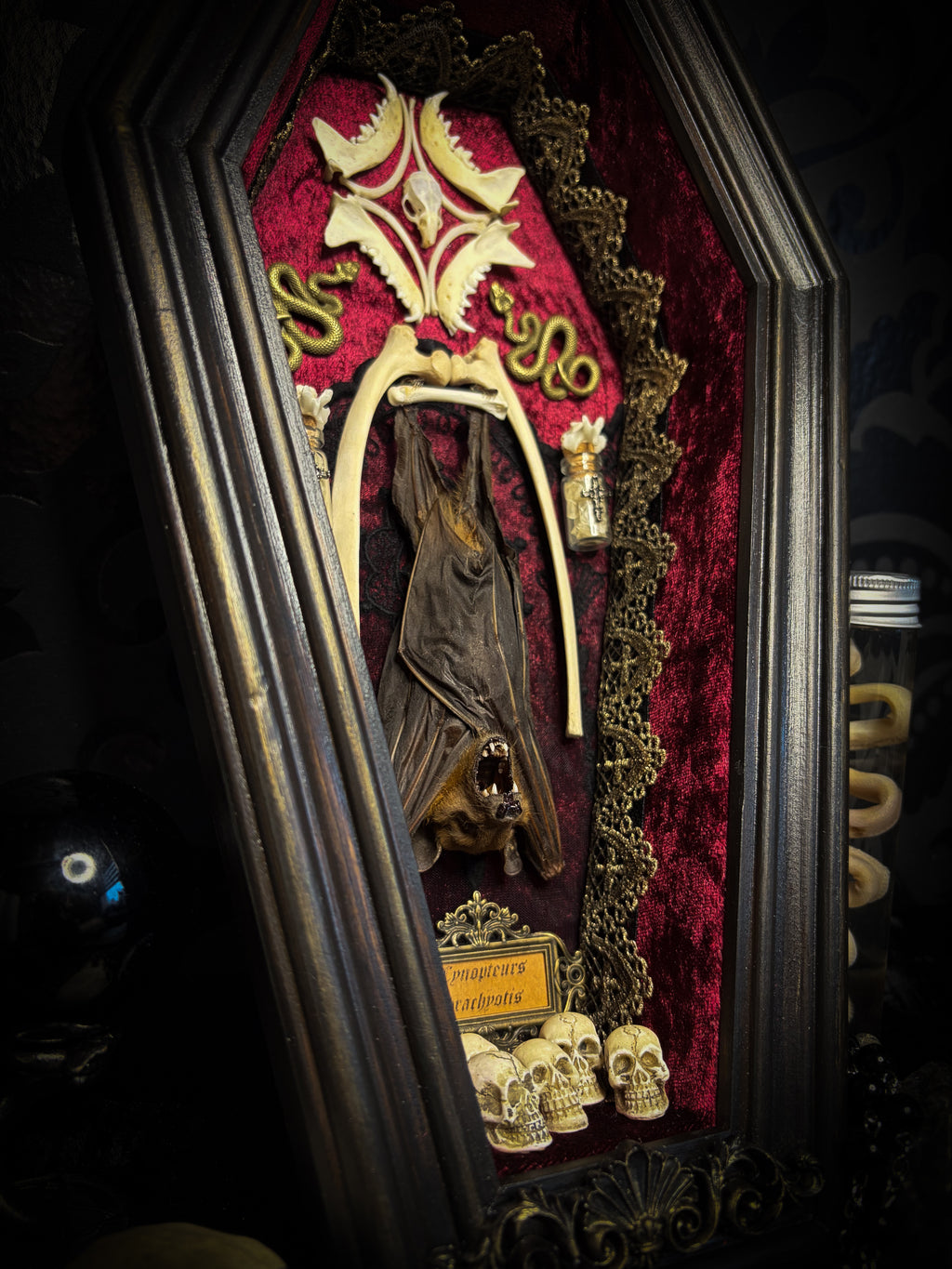 Bat Wooden Coffins — handmade gothic coffin shadowbox, made to order. Handbuilt wooden coffin frame with bat specimen, velvet background, ornate decorations and ritual details. Dark gothic wall and altar decor, made from scratch.