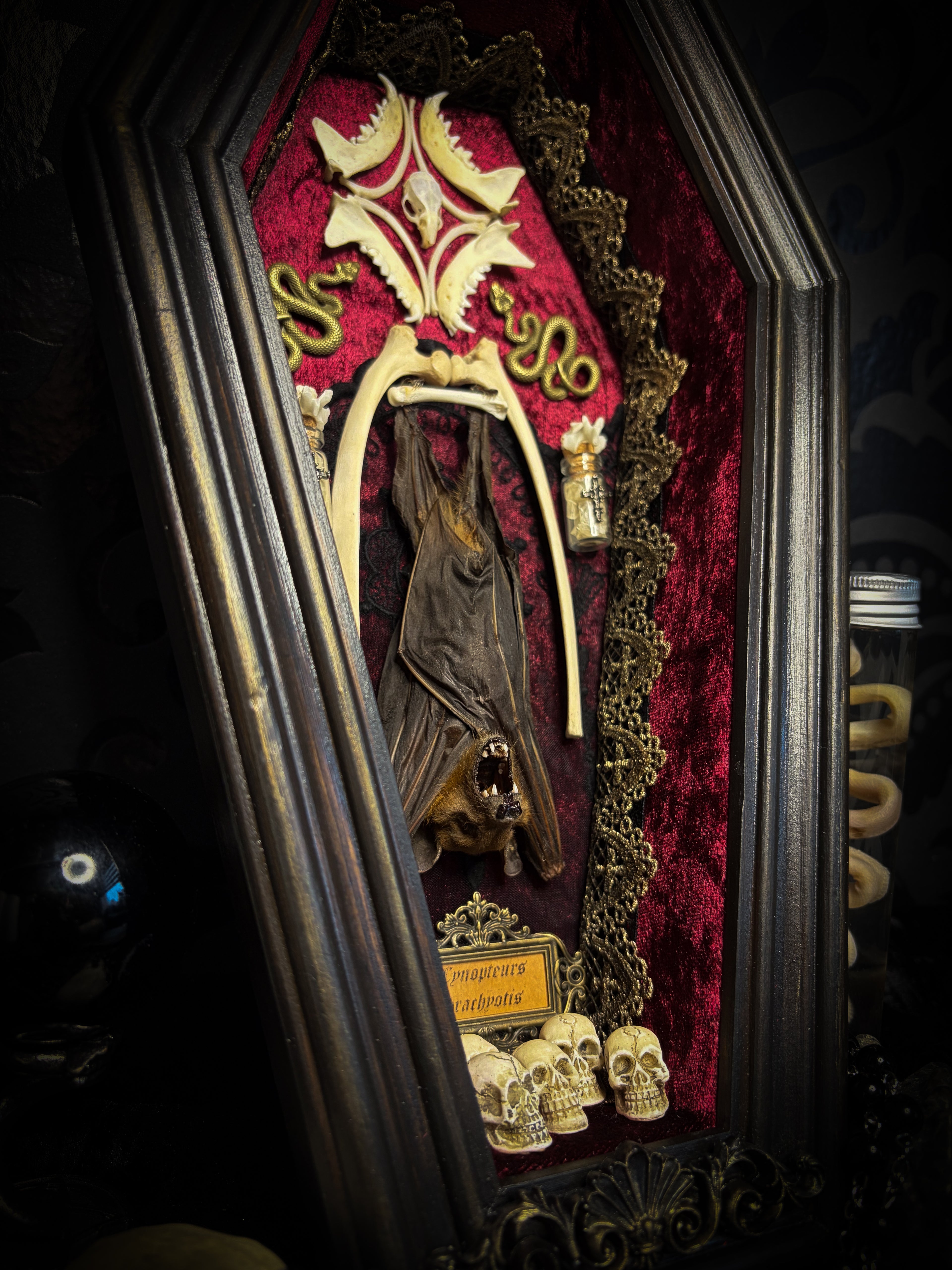 Bat Wooden Coffins — handmade gothic coffin shadowbox, made to order. Handbuilt wooden coffin frame with bat specimen, velvet background, ornate decorations and ritual details. Dark gothic wall and altar decor, made from scratch.