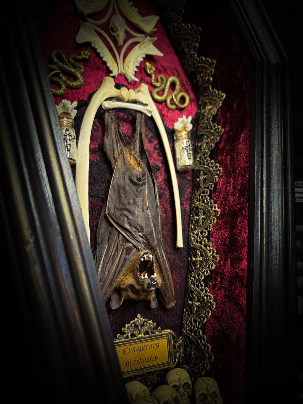 Bat Wooden Coffins — handmade gothic coffin shadowbox, made to order. Handbuilt wooden coffin frame with bat specimen, velvet background, ornate decorations and ritual details. Dark gothic wall and altar decor, made from scratch.