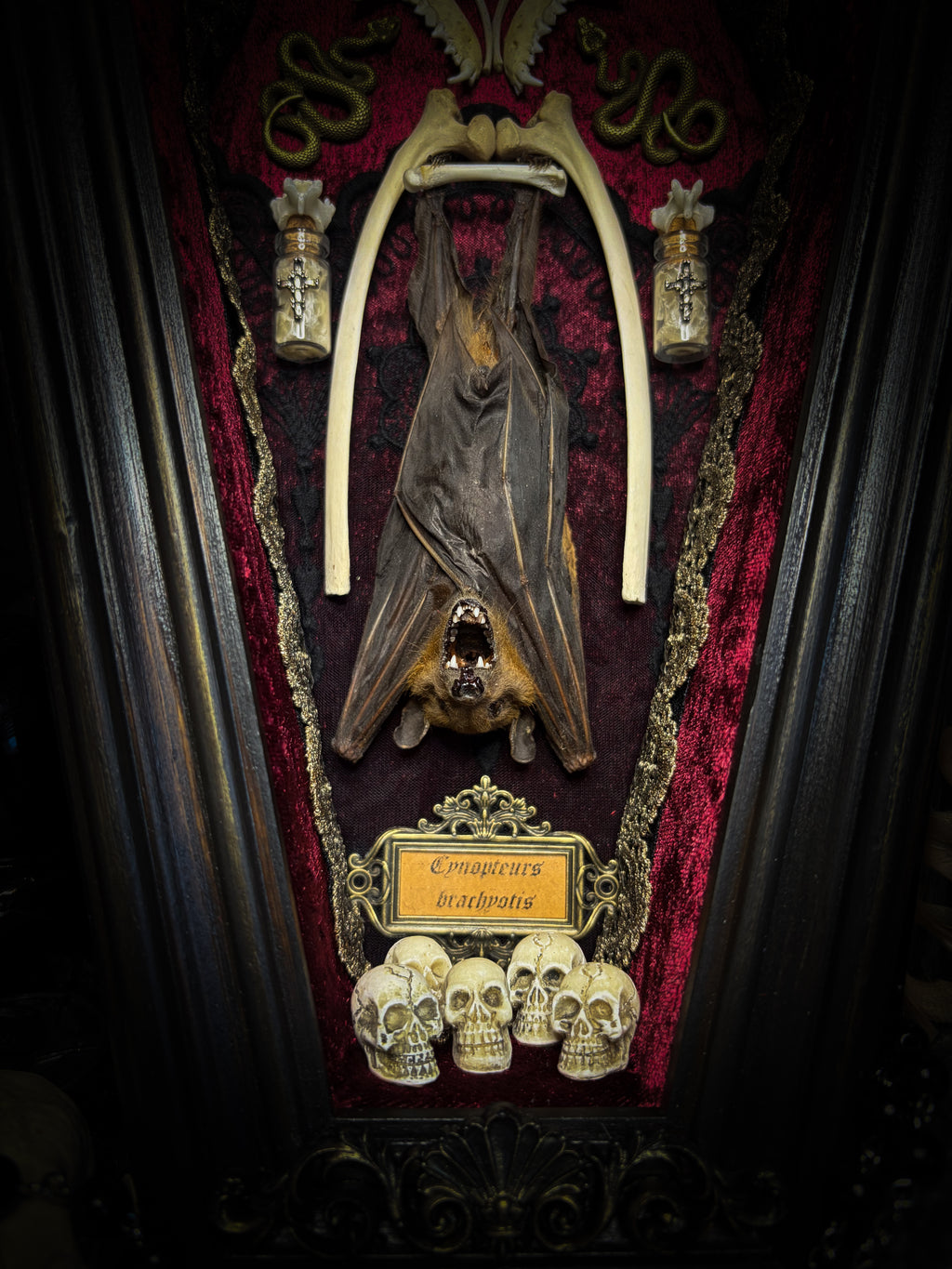 Bat Wooden Coffins — handmade gothic coffin shadowbox, made to order. Handbuilt wooden coffin frame with bat specimen, velvet background, ornate decorations and ritual details. Dark gothic wall and altar decor, made from scratch.