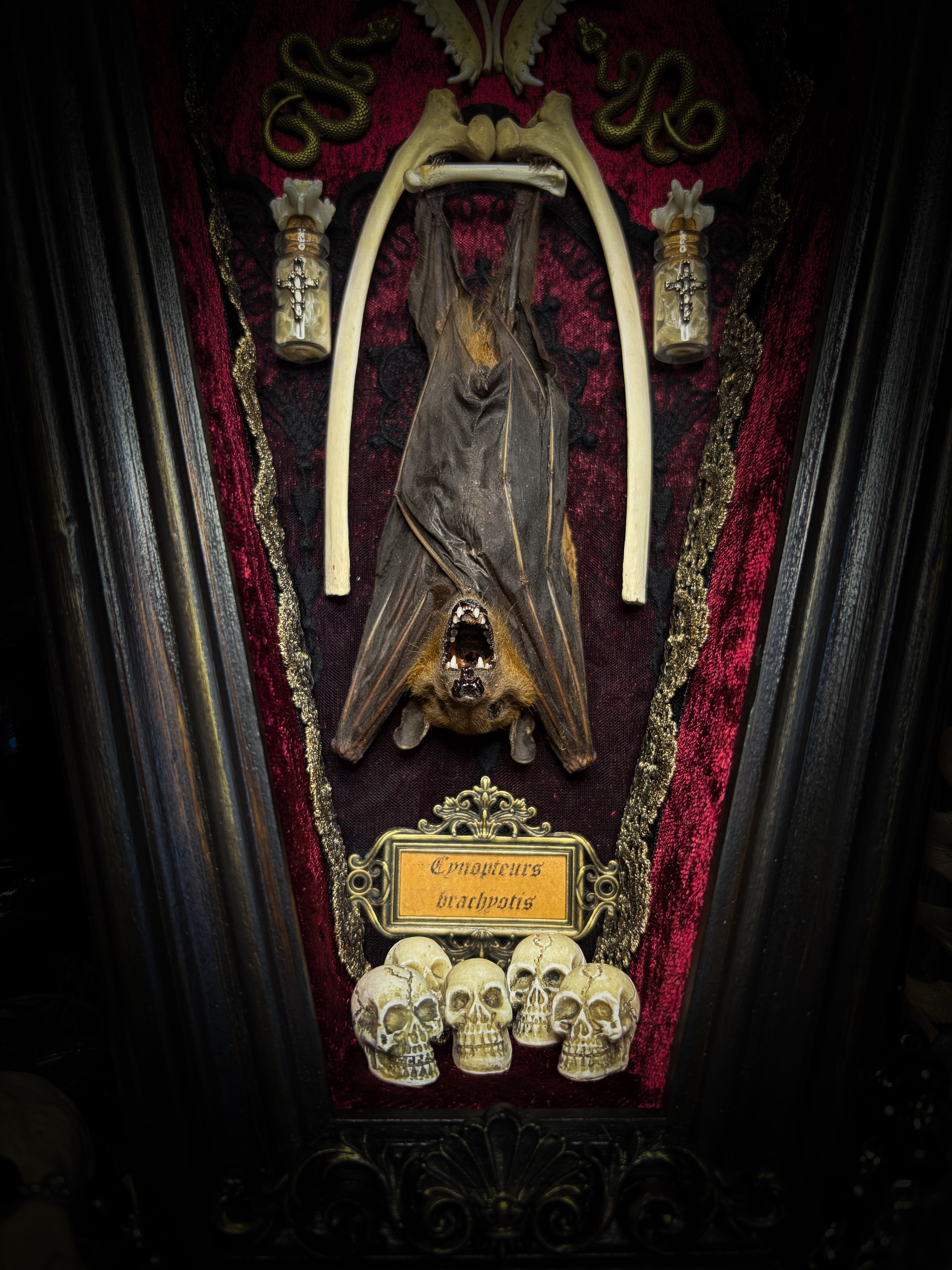 Bat Wooden Coffins — handmade gothic coffin shadowbox, made to order. Handbuilt wooden coffin frame with bat specimen, velvet background, ornate decorations and ritual details. Dark gothic wall and altar decor, made from scratch.