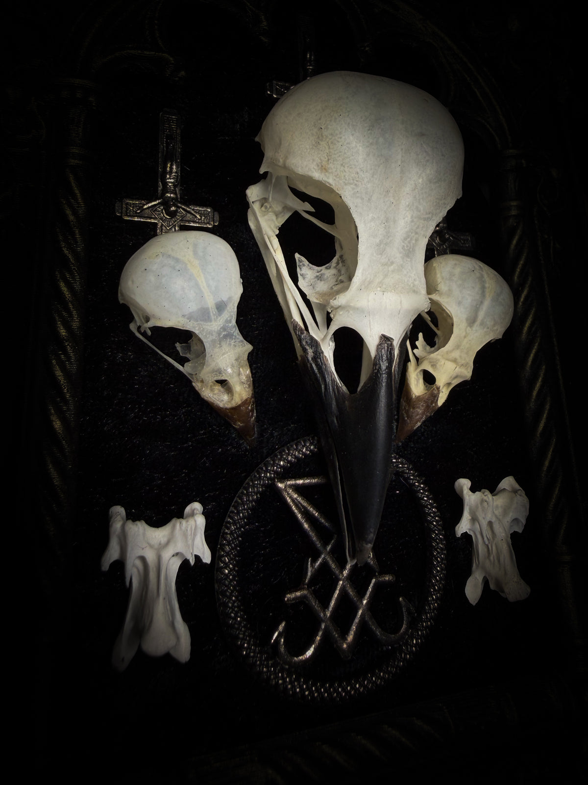 Morning Star — one-of-a-kind handmade gothic tracery frame in matte black and gold, with two bird skulls, a crow skull, the sigil of Lucifer and three inverted crosses on black velvet
