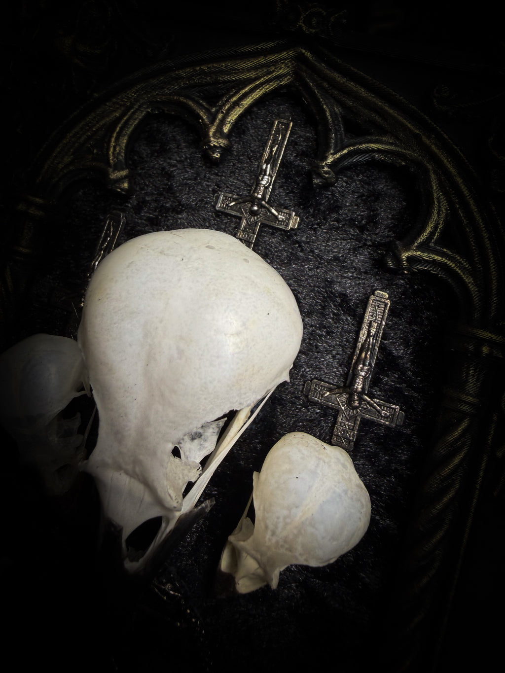 Morning Star — one-of-a-kind handmade gothic tracery frame in matte black and gold, with two bird skulls, a crow skull, the sigil of Lucifer and three inverted crosses on black velvet
