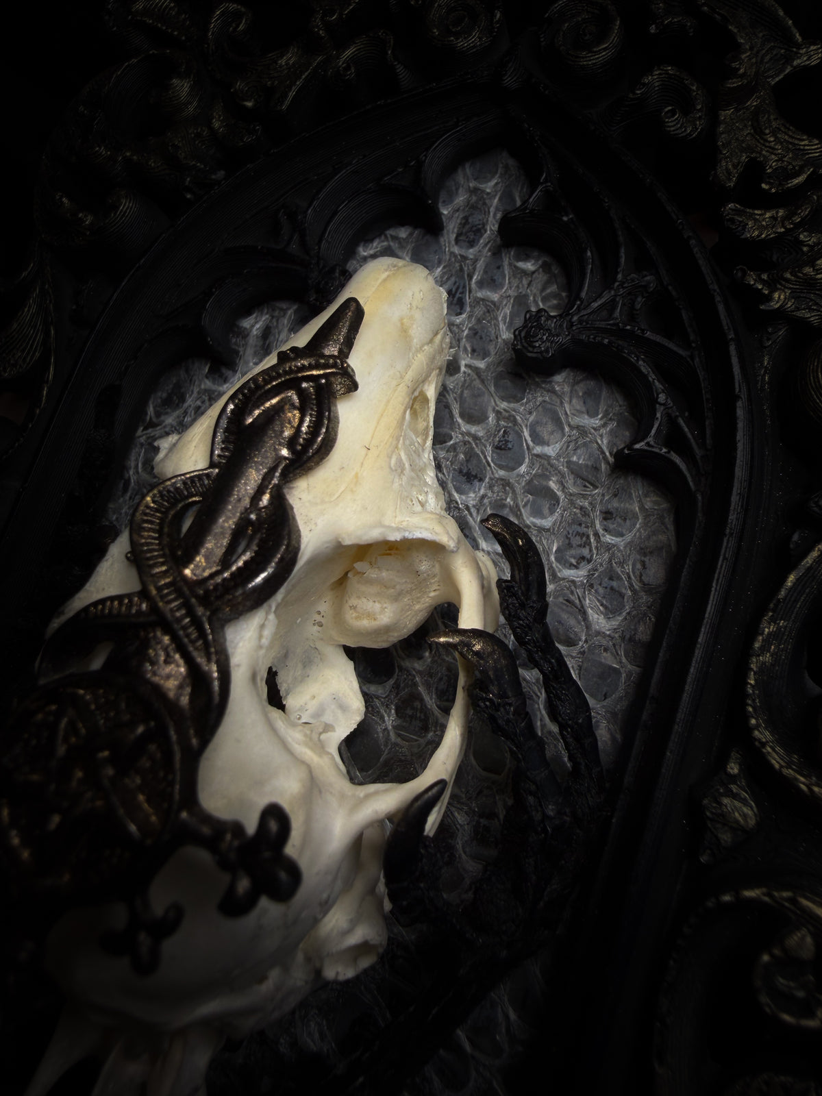 Unholy Hare — one-of-a-kind handmade gothic tracery frame with a real rabbit skull on snake skin, painted dove feet with gilded claws, a gold cross with pentagram and serpent, and a ring of marten fur
