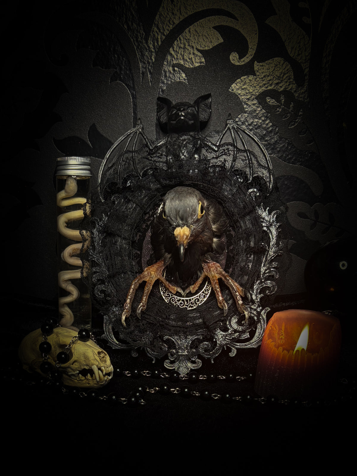 Nocturne — one-of-a-kind handmade gothic frame in black with silver bat ornament, with taxidermied dove head and feet on black lace over pink velvet, watched by two ornamental silver moons
