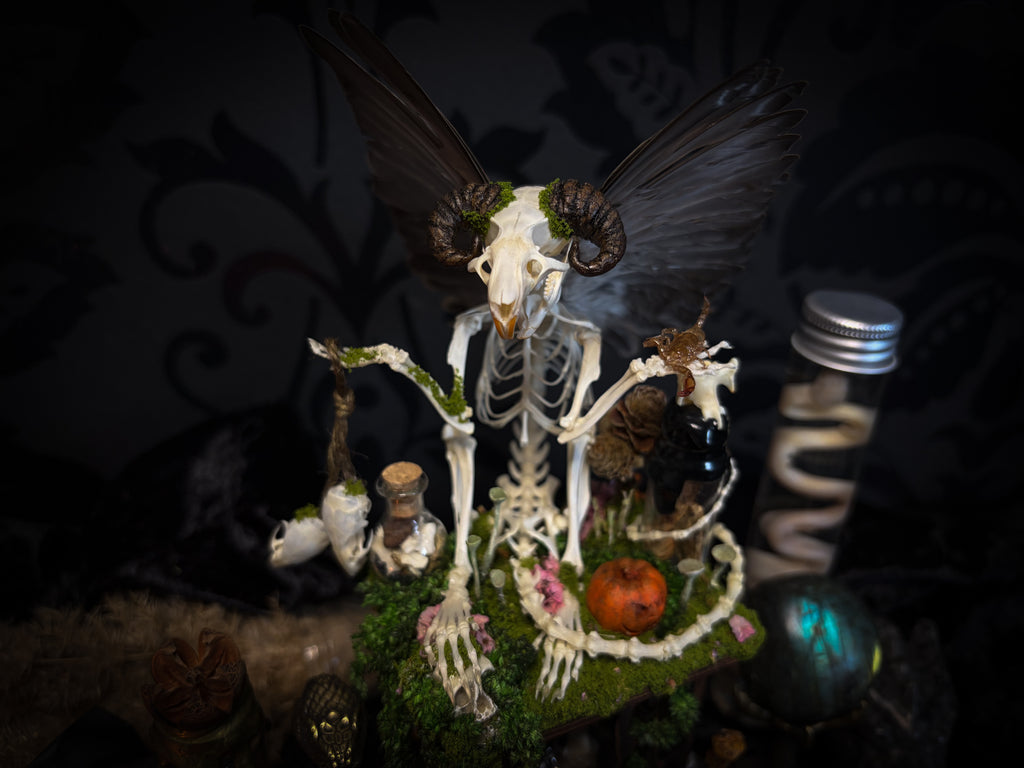 Faun of the Forest | Woodland — handmade gothic cabinet with skeletal rat, hand-carved horns, real wings, glass vials with snake skin, tarantula molt, preserved lizard, deer teeth and crystals, moss and mushrooms, 22x17cm