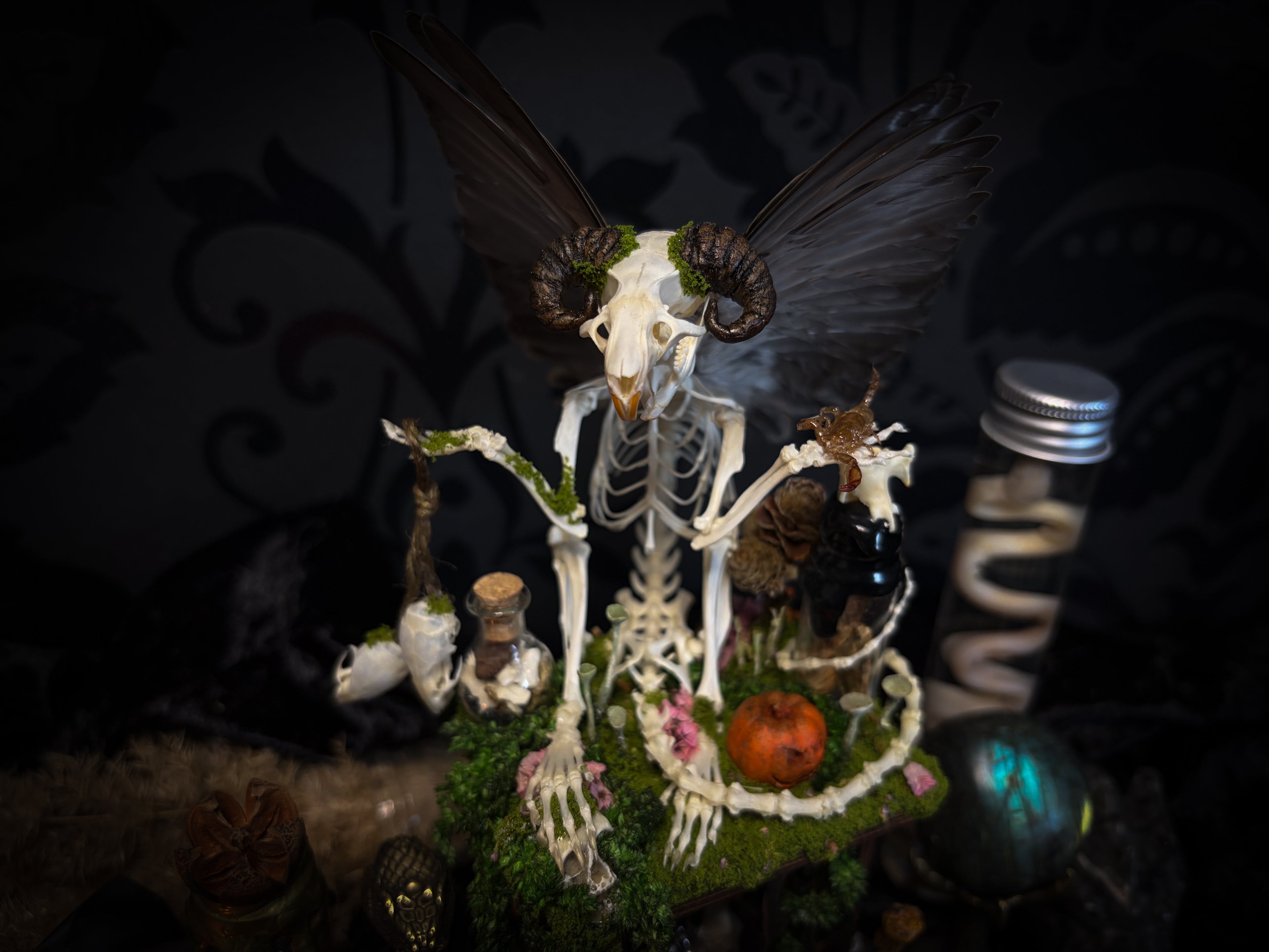 Faun of the Forest | Woodland — handmade gothic cabinet with skeletal rat, hand-carved horns, real wings, glass vials with snake skin, tarantula molt, preserved lizard, deer teeth and crystals, moss and mushrooms, 22x17cm