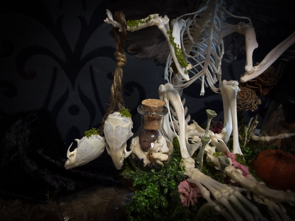 Faun of the Forest | Woodland — handmade gothic cabinet with skeletal rat, hand-carved horns, real wings, glass vials with snake skin, tarantula molt, preserved lizard, deer teeth and crystals, moss and mushrooms, 22x17cm