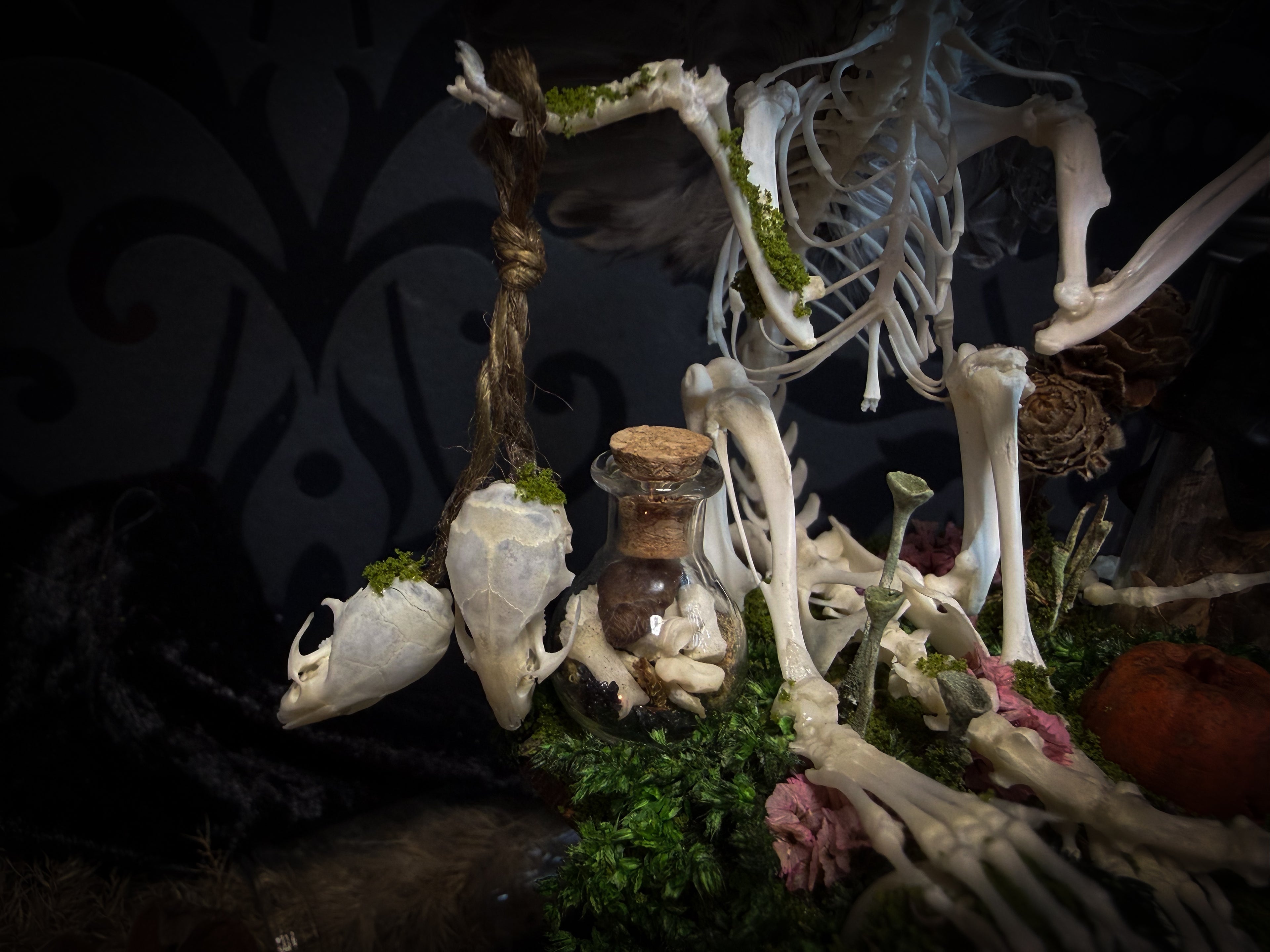 Faun of the Forest | Woodland — handmade gothic cabinet with skeletal rat, hand-carved horns, real wings, glass vials with snake skin, tarantula molt, preserved lizard, deer teeth and crystals, moss and mushrooms, 22x17cm
