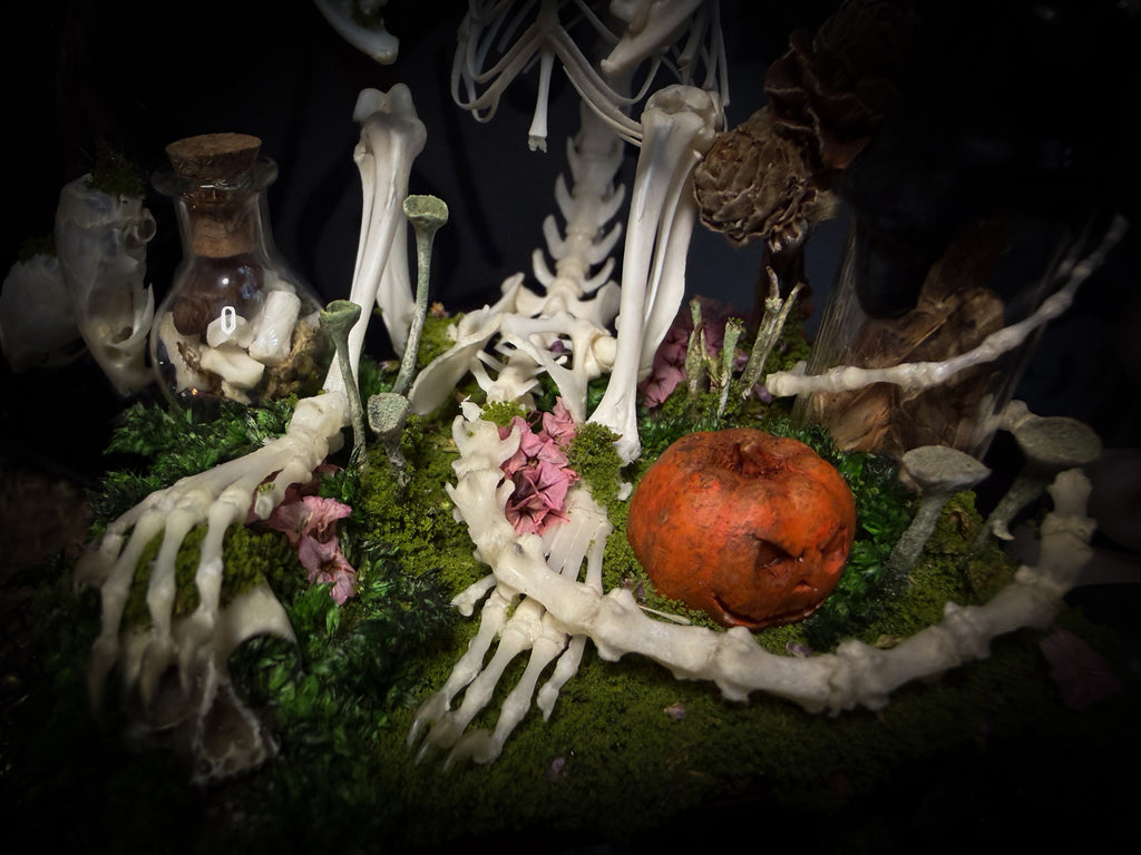 Faun of the Forest | Woodland — handmade gothic cabinet with skeletal rat, hand-carved horns, real wings, glass vials with snake skin, tarantula molt, preserved lizard, deer teeth and crystals, moss and mushrooms, 22x17cm