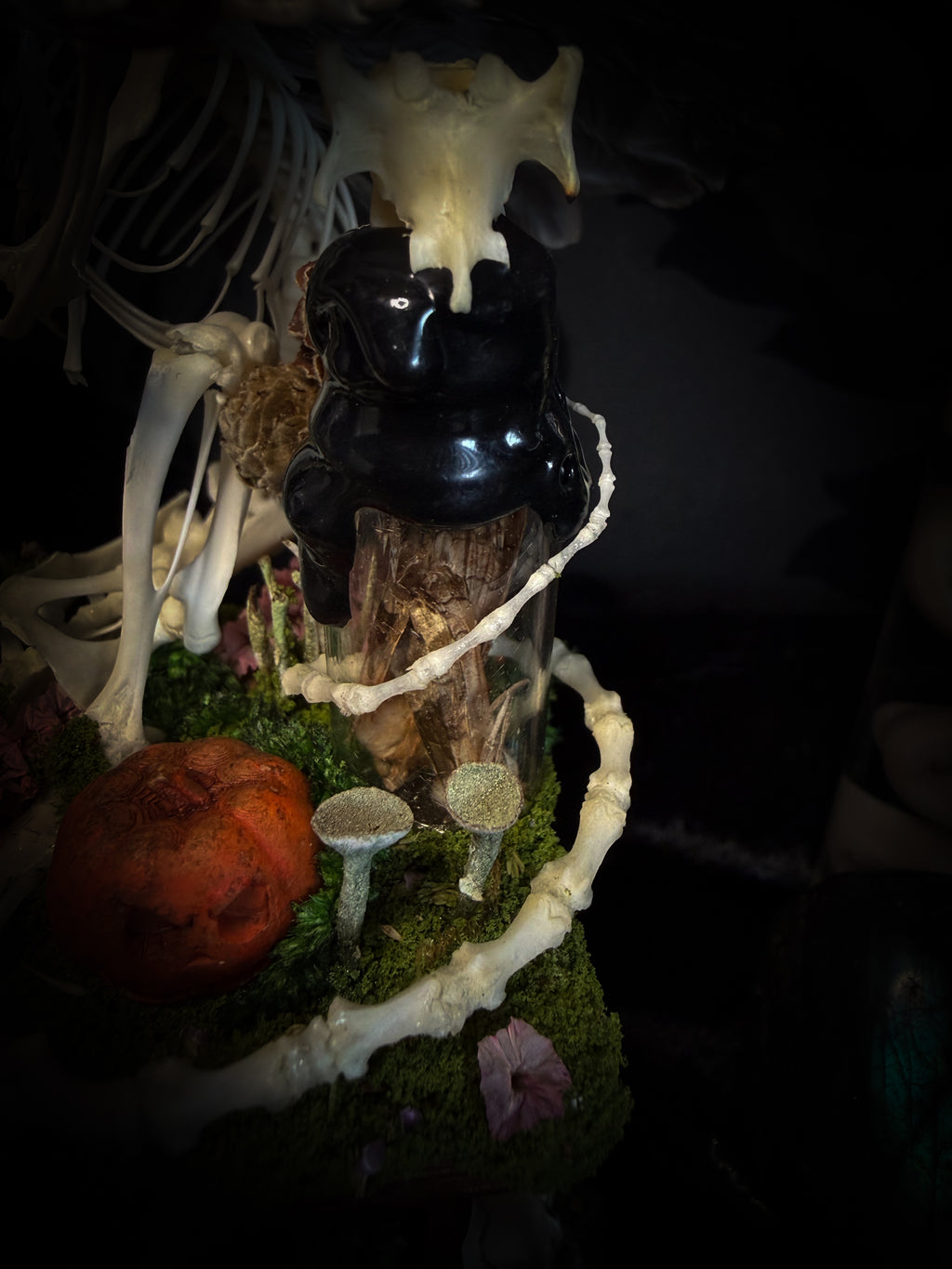 Faun of the Forest | Woodland — handmade gothic cabinet with skeletal rat, hand-carved horns, real wings, glass vials with snake skin, tarantula molt, preserved lizard, deer teeth and crystals, moss and mushrooms, 22x17cm