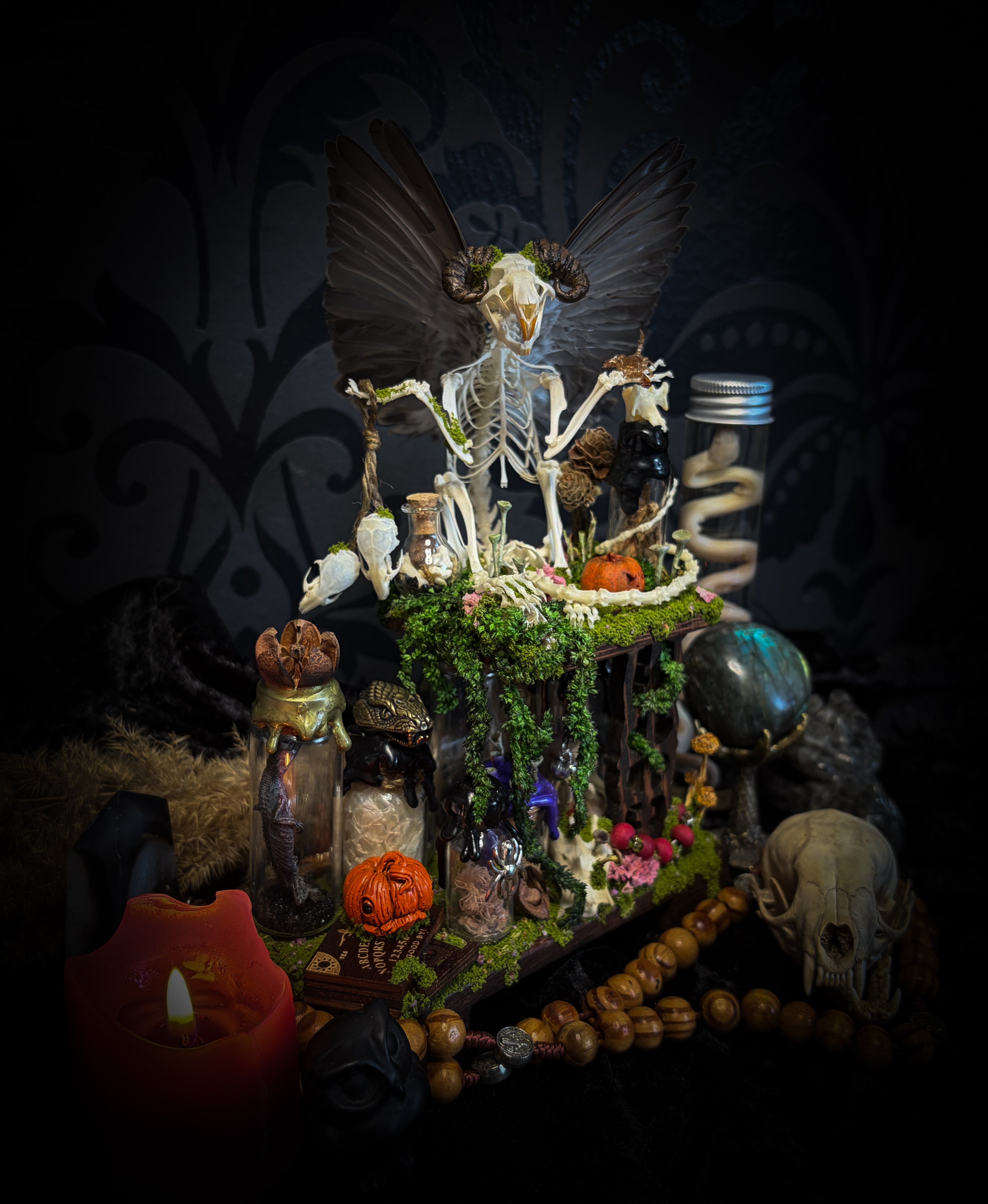Faun of the Forest | Woodland — handmade gothic cabinet with skeletal rat, hand-carved horns, real wings, glass vials with snake skin, tarantula molt, preserved lizard, deer teeth and crystals, moss and mushrooms, 22x17cm
