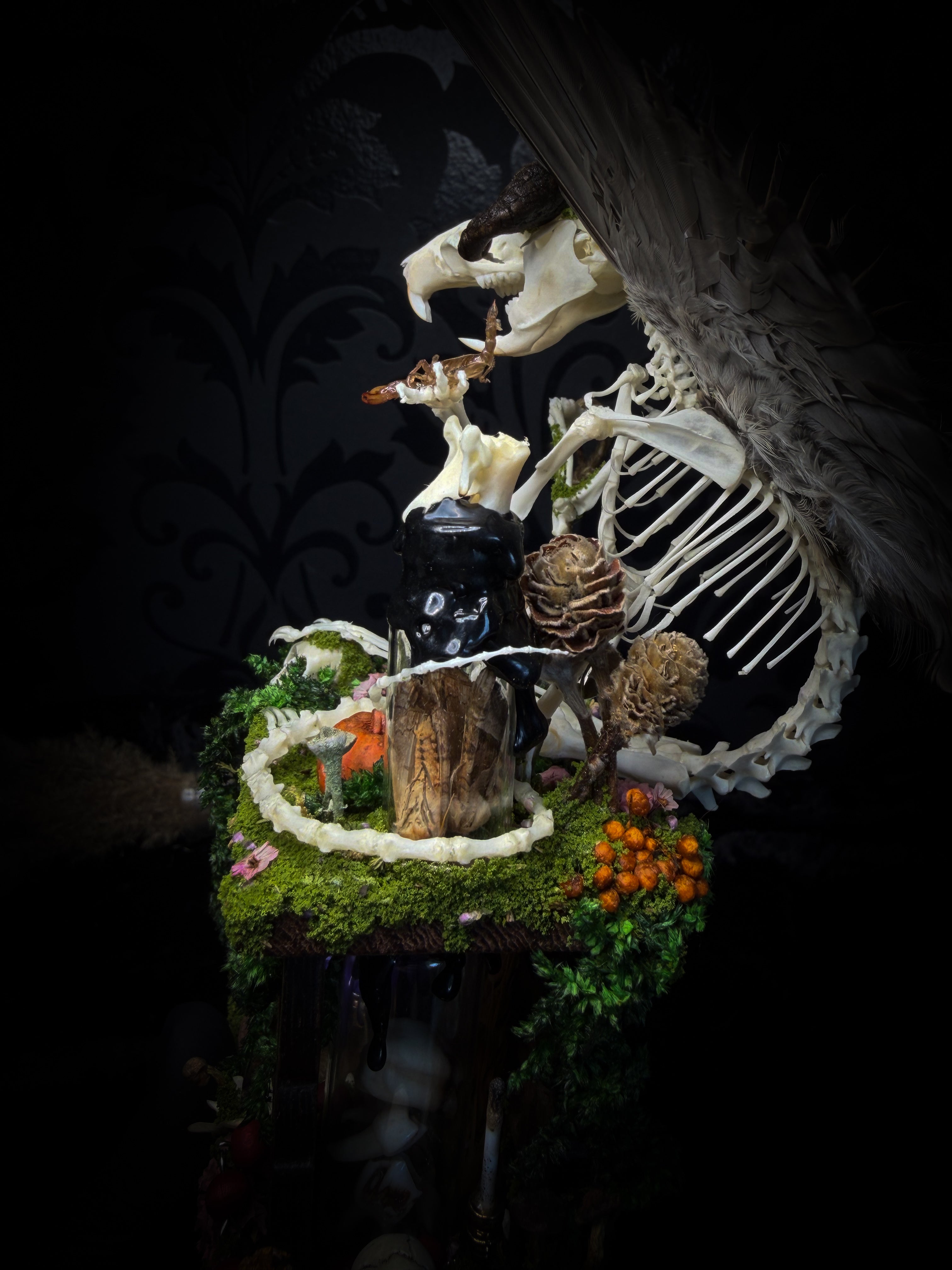 Faun of the Forest | Woodland — handmade gothic cabinet with skeletal rat, hand-carved horns, real wings, glass vials with snake skin, tarantula molt, preserved lizard, deer teeth and crystals, moss and mushrooms, 22x17cm