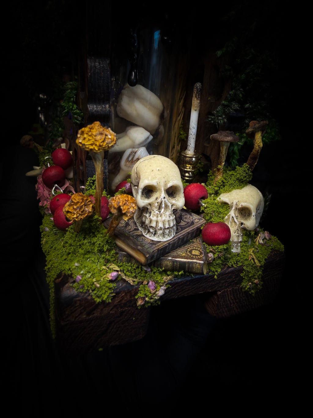 Faun of the Forest | Woodland — handmade gothic cabinet with skeletal rat, hand-carved horns, real wings, glass vials with snake skin, tarantula molt, preserved lizard, deer teeth and crystals, moss and mushrooms, 22x17cm