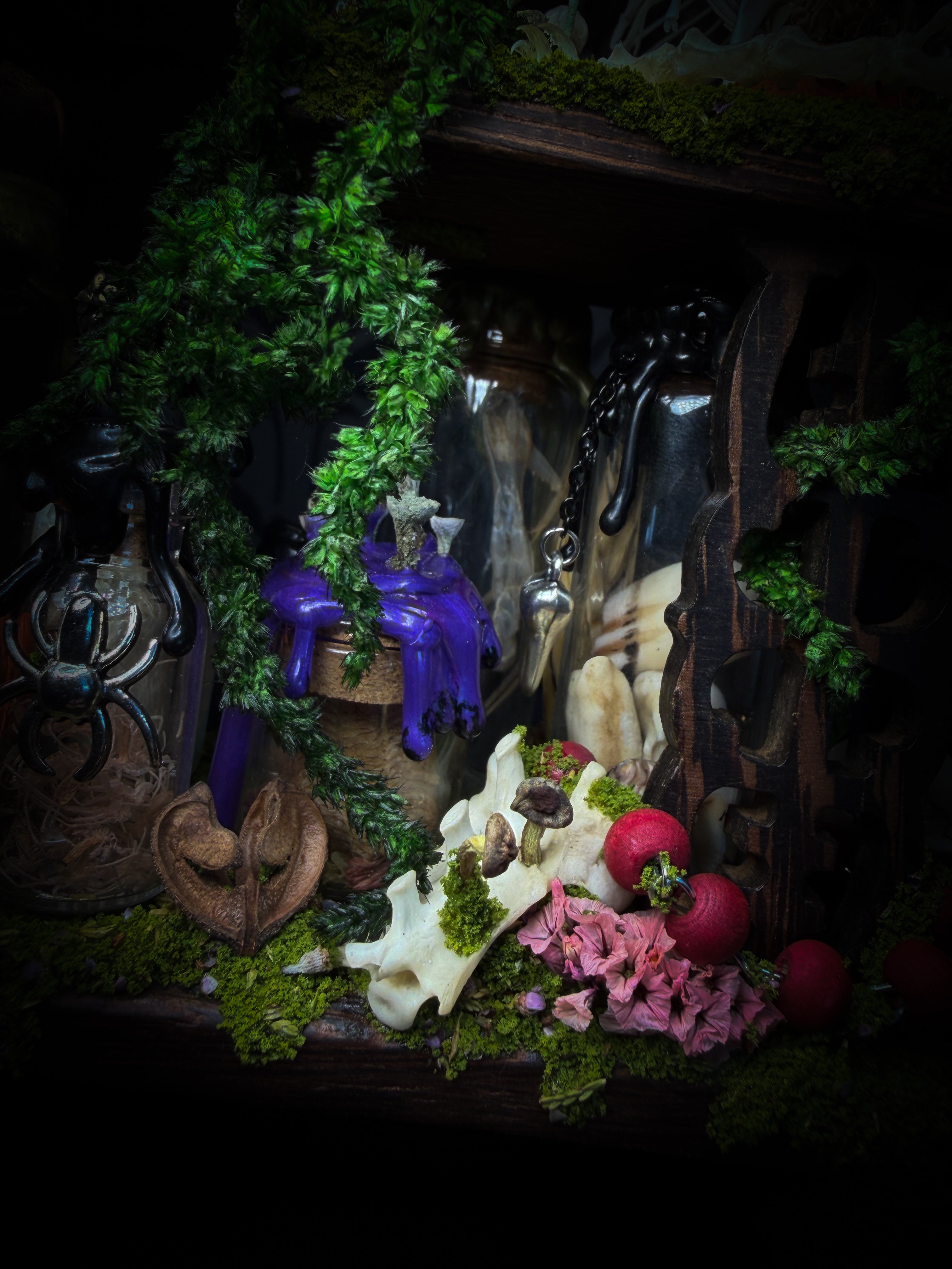 Faun of the Forest | Woodland — handmade gothic cabinet with skeletal rat, hand-carved horns, real wings, glass vials with snake skin, tarantula molt, preserved lizard, deer teeth and crystals, moss and mushrooms, 22x17cm