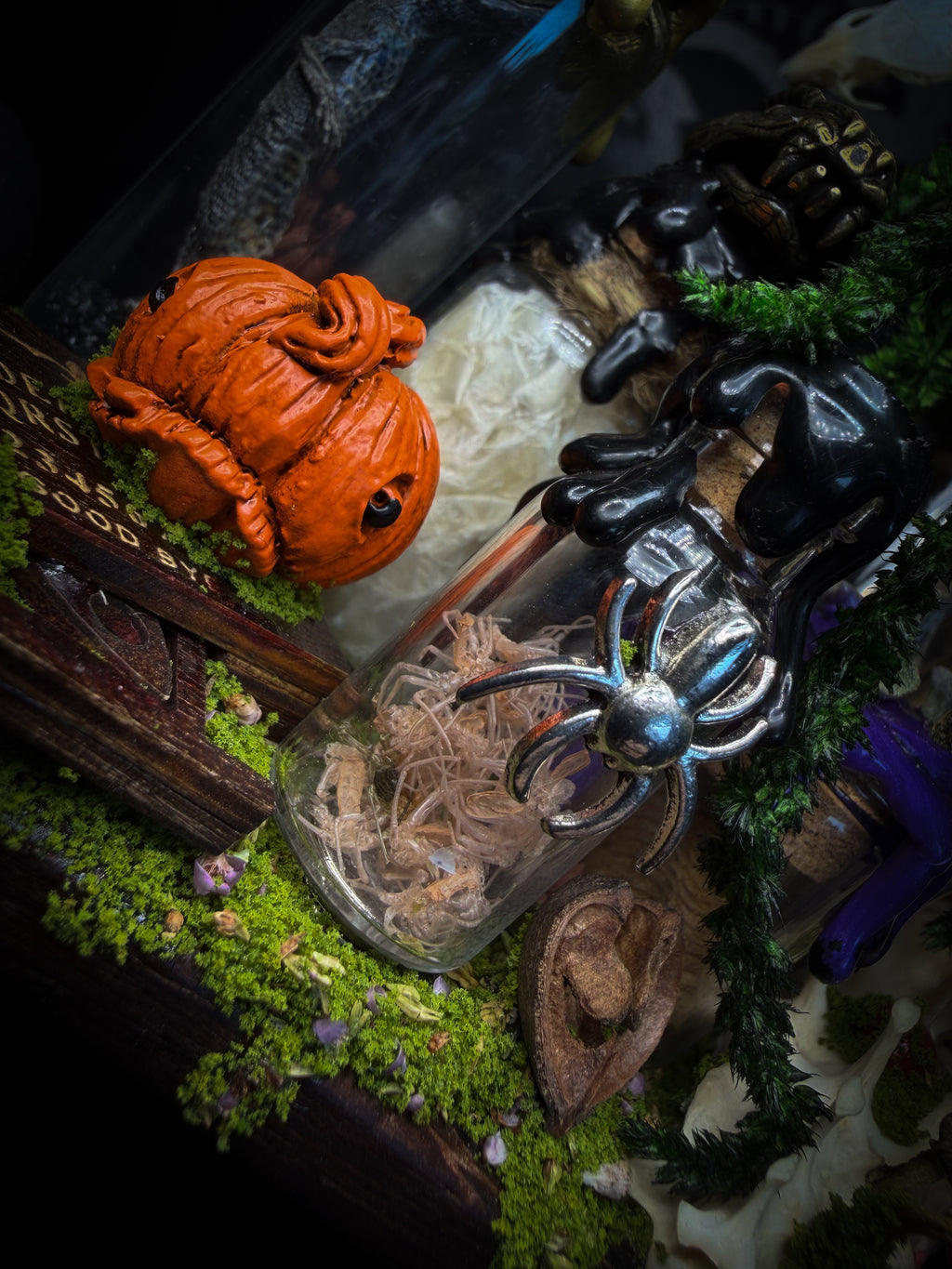 Faun of the Forest | Woodland — handmade gothic cabinet with skeletal rat, hand-carved horns, real wings, glass vials with snake skin, tarantula molt, preserved lizard, deer teeth and crystals, moss and mushrooms, 22x17cm
