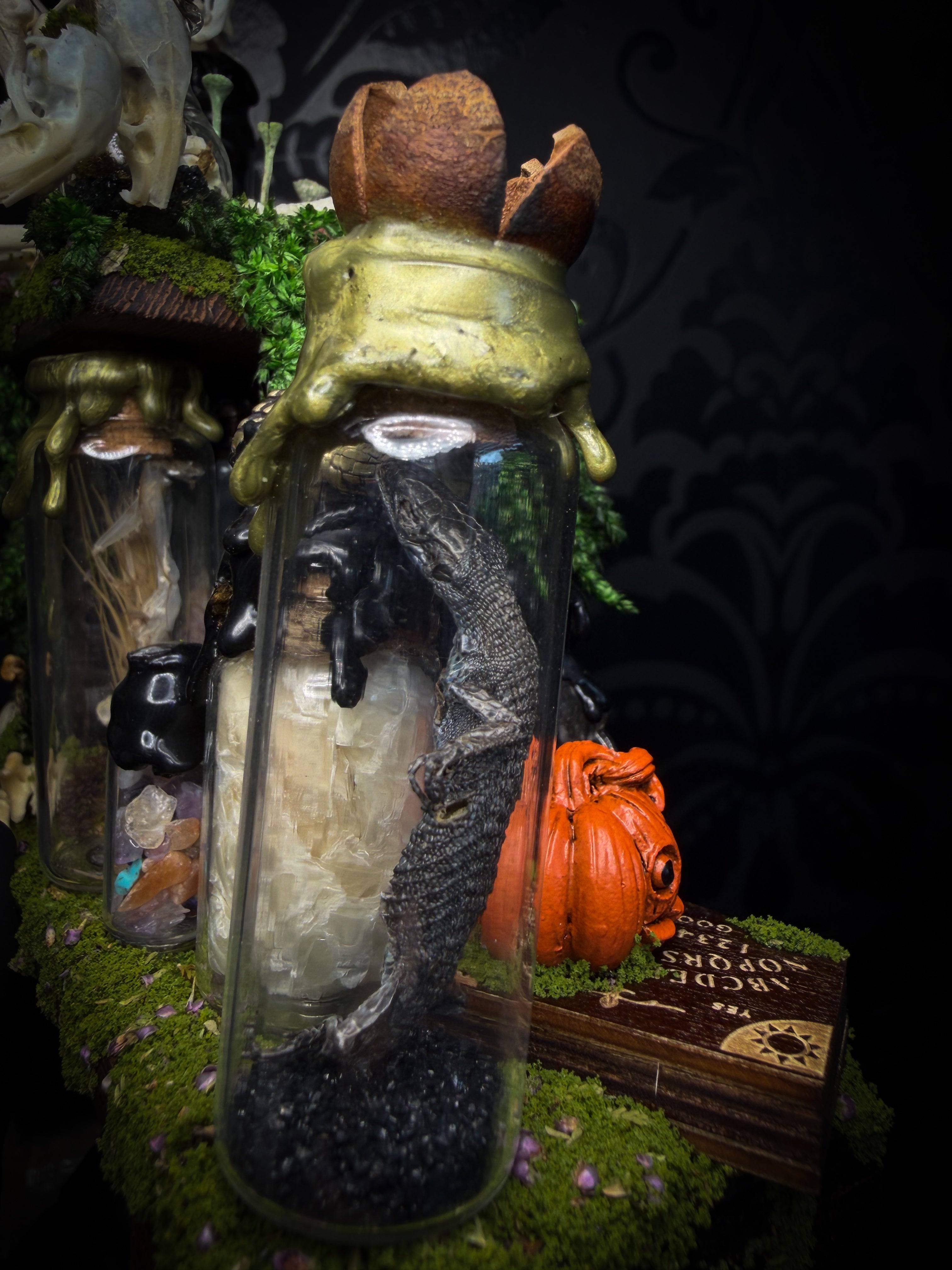 Faun of the Forest | Woodland — handmade gothic cabinet with skeletal rat, hand-carved horns, real wings, glass vials with snake skin, tarantula molt, preserved lizard, deer teeth and crystals, moss and mushrooms, 22x17cm