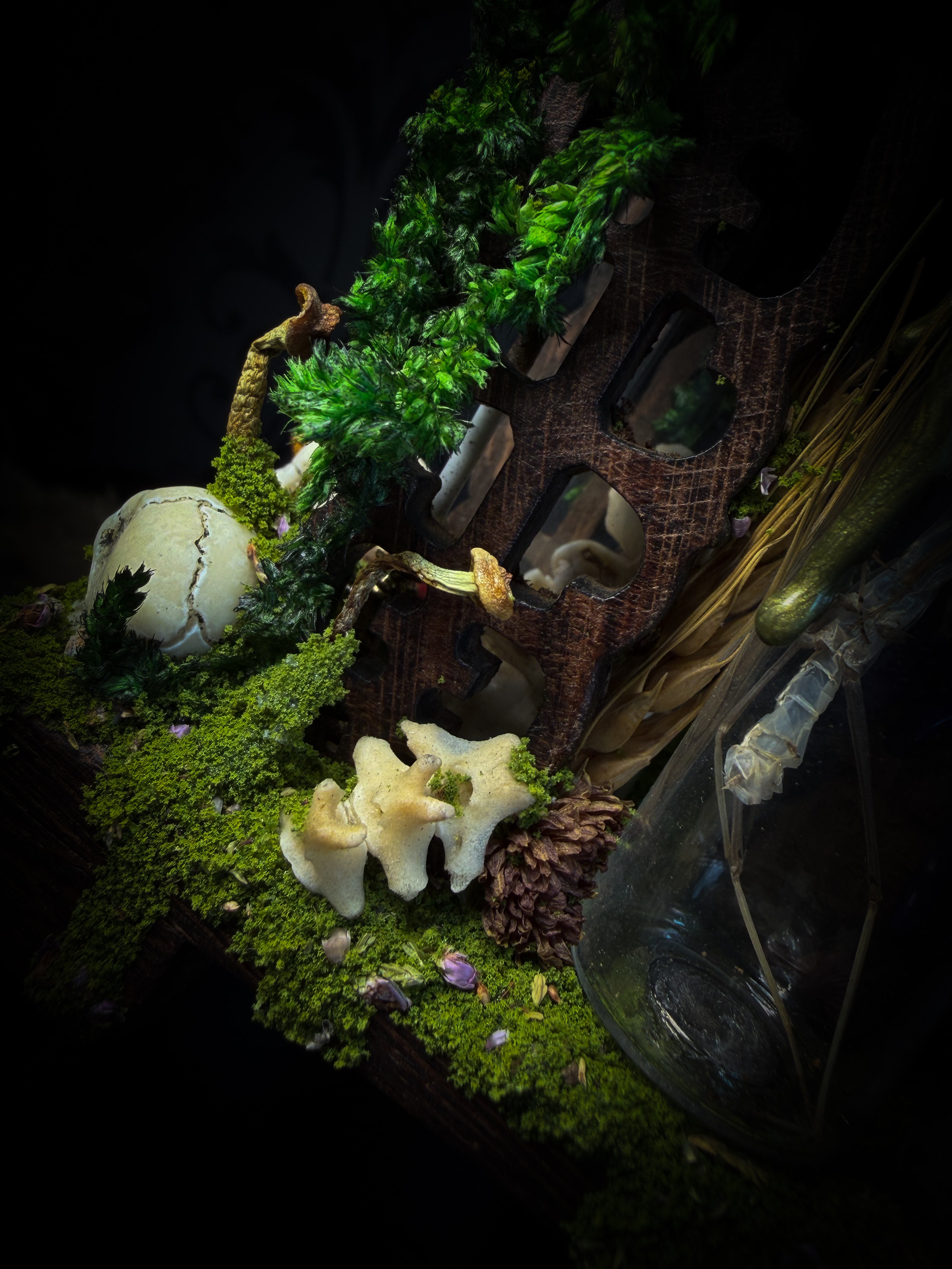Faun of the Forest | Woodland — handmade gothic cabinet with skeletal rat, hand-carved horns, real wings, glass vials with snake skin, tarantula molt, preserved lizard, deer teeth and crystals, moss and mushrooms, 22x17cm