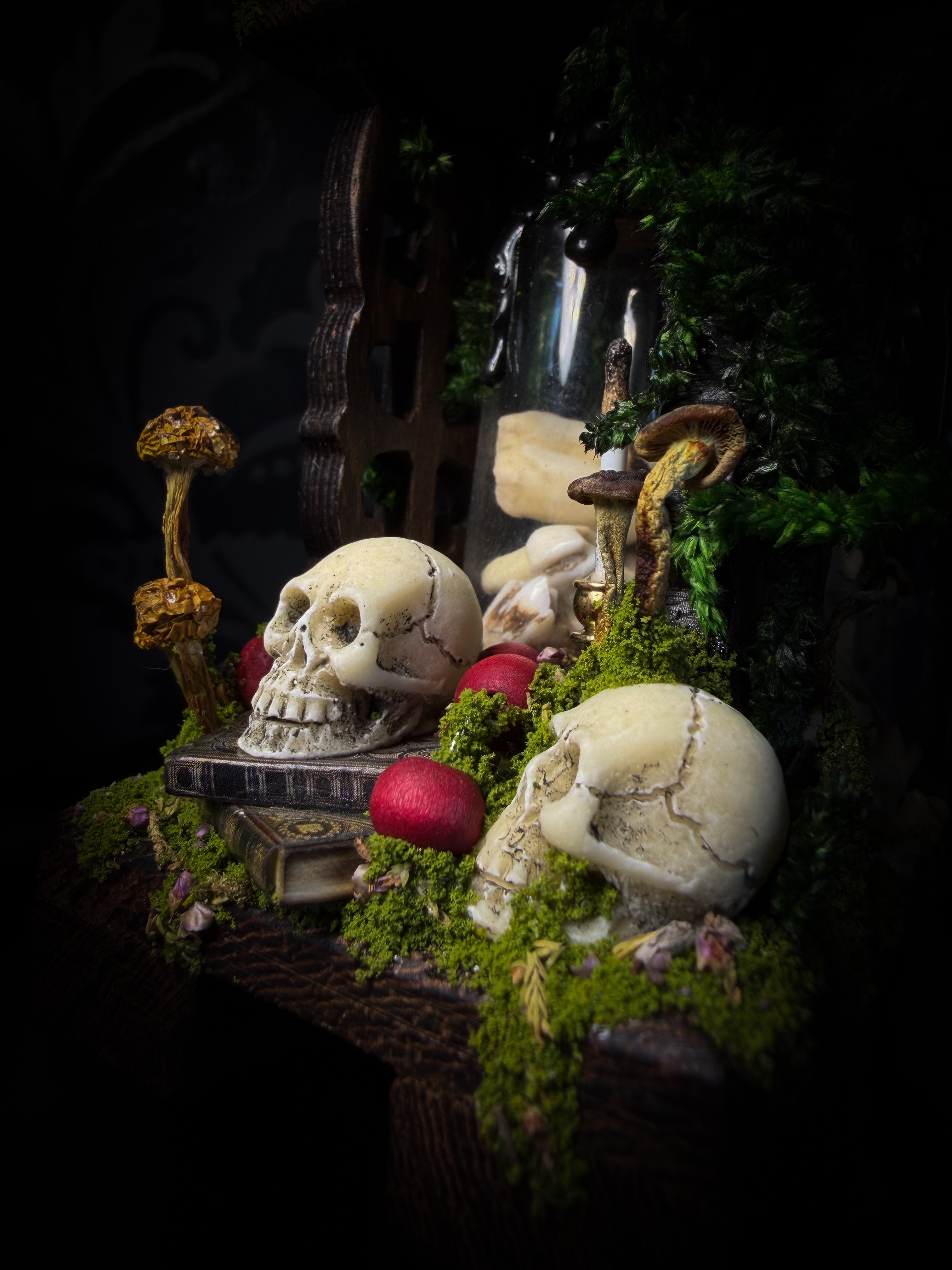 Miniature diorama with skulls, mushrooms, and moss on a dark background Faun of the Forest | Woodland — handmade gothic cabinet with skeletal rat, hand-carved horns, real wings, glass vials with snake skin, tarantula molt, preserved lizard, deer teeth and crystals, moss and mushrooms, 22x17cm