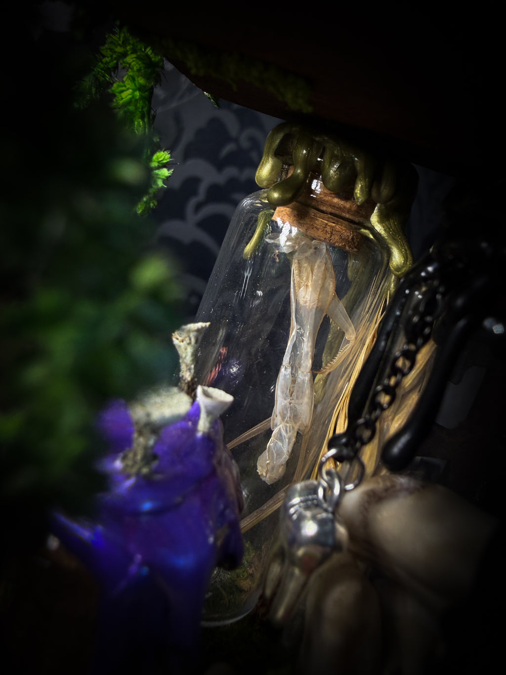 Faun of the Forest | Woodland — handmade gothic cabinet with skeletal rat, hand-carved horns, real wings, glass vials with snake skin, tarantula molt, preserved lizard, deer teeth and crystals, moss and mushrooms, 22x17cm