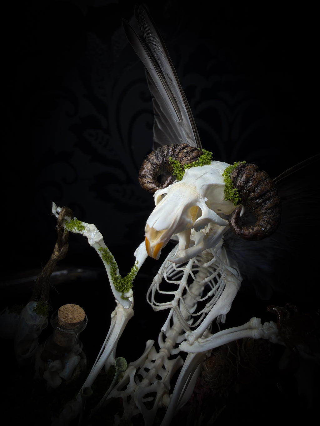 Faun of the Forest | Woodland — handmade gothic cabinet with skeletal rat, hand-carved horns, real wings, glass vials with snake skin, tarantula molt, preserved lizard, deer teeth and crystals, moss and mushrooms, 22x17cm