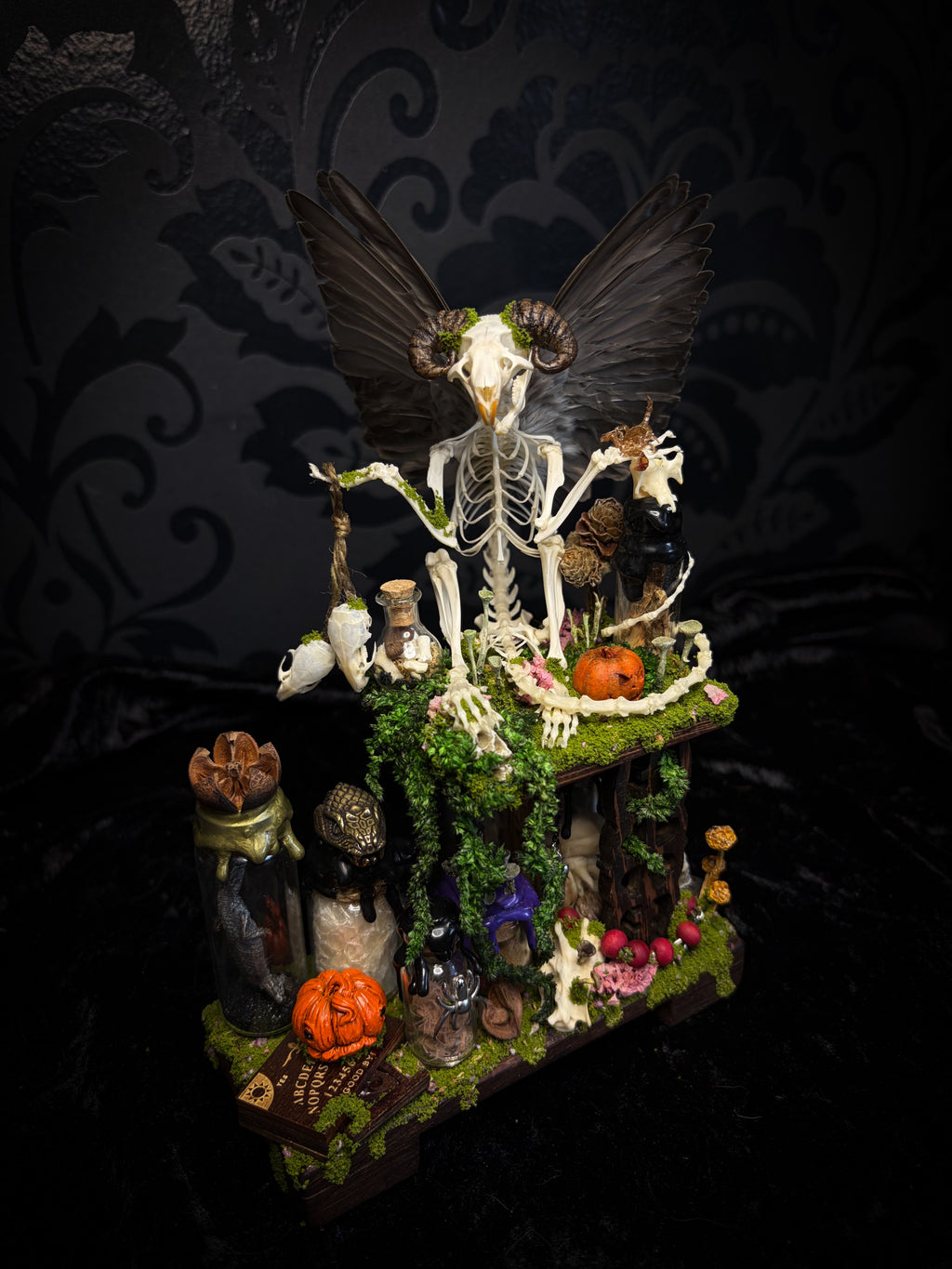 Faun of the Forest | Woodland — handmade gothic cabinet with skeletal rat, hand-carved horns, real wings, glass vials with snake skin, tarantula molt, preserved lizard, deer teeth and crystals, moss and mushrooms, 22x17cm