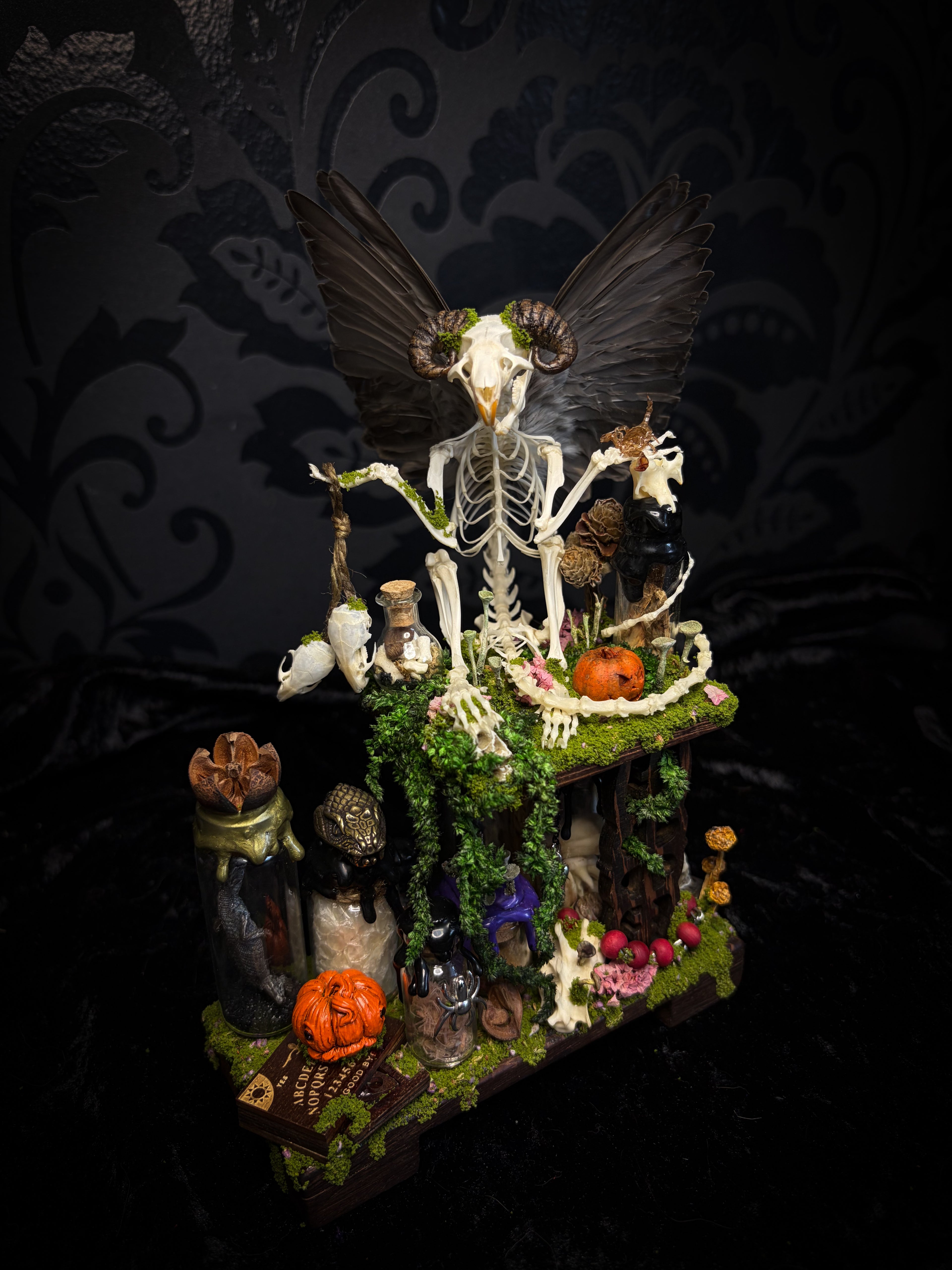 Faun of the Forest | Woodland — handmade gothic cabinet with skeletal rat, hand-carved horns, real wings, glass vials with snake skin, tarantula molt, preserved lizard, deer teeth and crystals, moss and mushrooms, 22x17cm