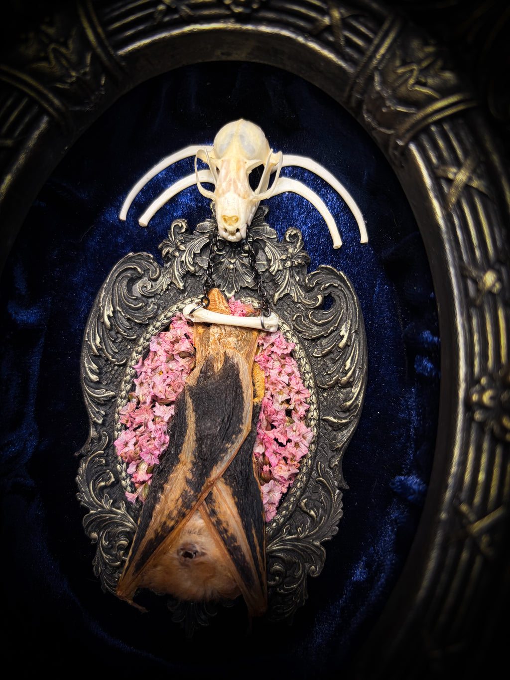Floral Delight | Bats — handmade gothic wall decor with real preserved bat, bat skull, bone ribs, deep pink preserved flowers on navy velvet in aged hand-cast ornamental frame with glass, 25x19cm