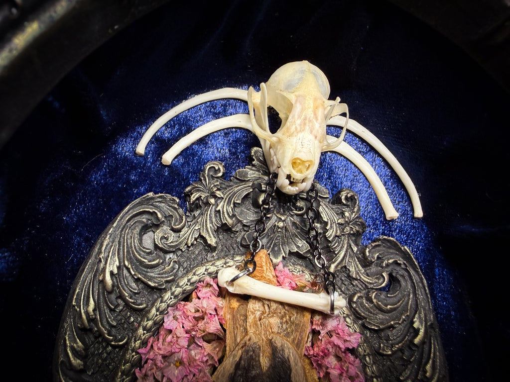Floral Delight | Bats — handmade gothic wall decor with real preserved bat, bat skull, bone ribs, deep pink preserved flowers on navy velvet in aged hand-cast ornamental frame with glass, 25x19cm