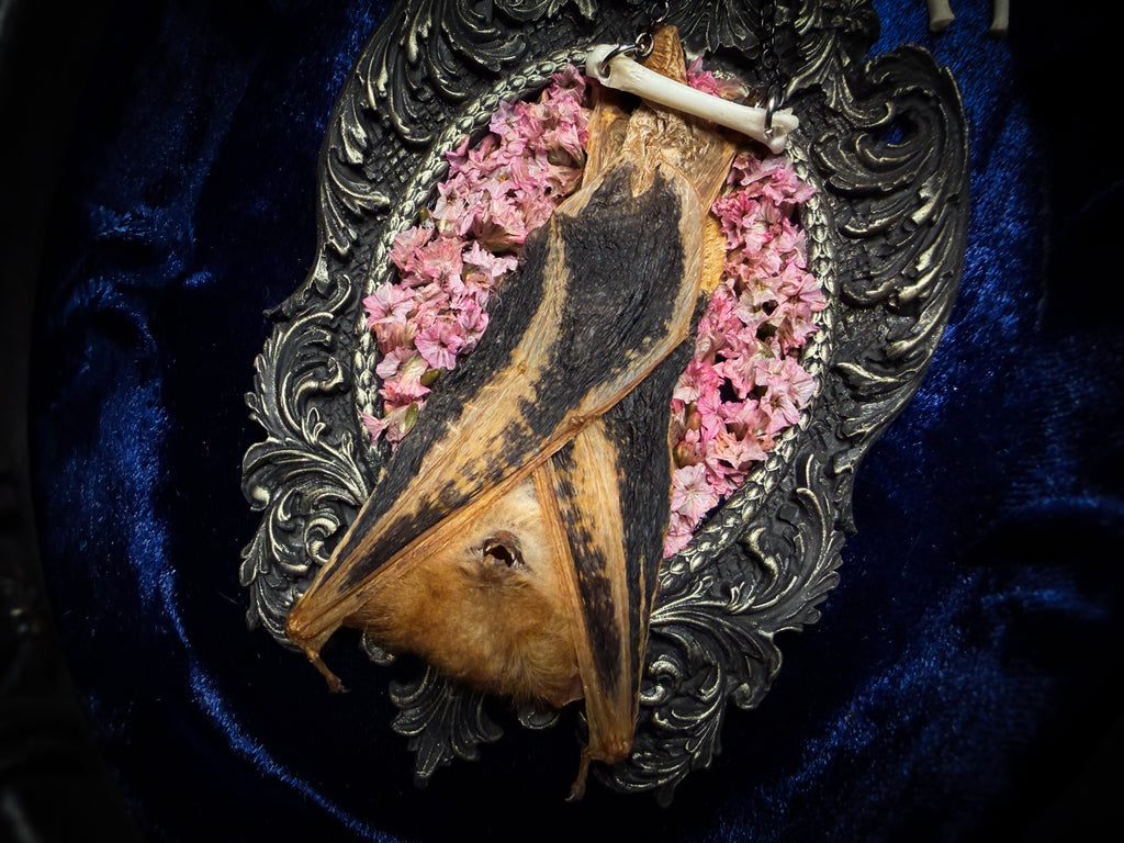 Floral Delight | Bats — handmade gothic wall decor with real preserved bat, bat skull, bone ribs, deep pink preserved flowers on navy velvet in aged hand-cast ornamental frame with glass, 25x19cm
