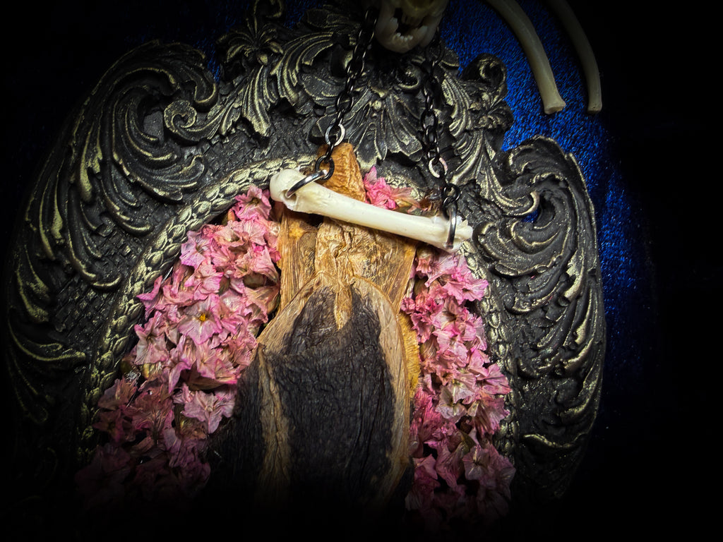 Floral Delight | Bats — handmade gothic wall decor with real preserved bat, bat skull, bone ribs, deep pink preserved flowers on navy velvet in aged hand-cast ornamental frame with glass, 25x19cm