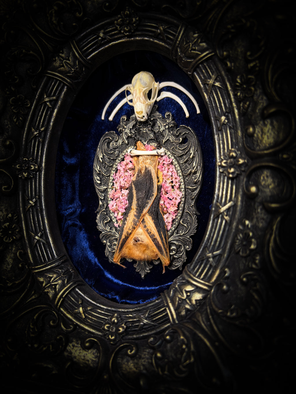Floral Delight | Bats — handmade gothic wall decor with real preserved bat, bat skull, bone ribs, deep pink preserved flowers on navy velvet in aged hand-cast ornamental frame with glass, 25x19cm