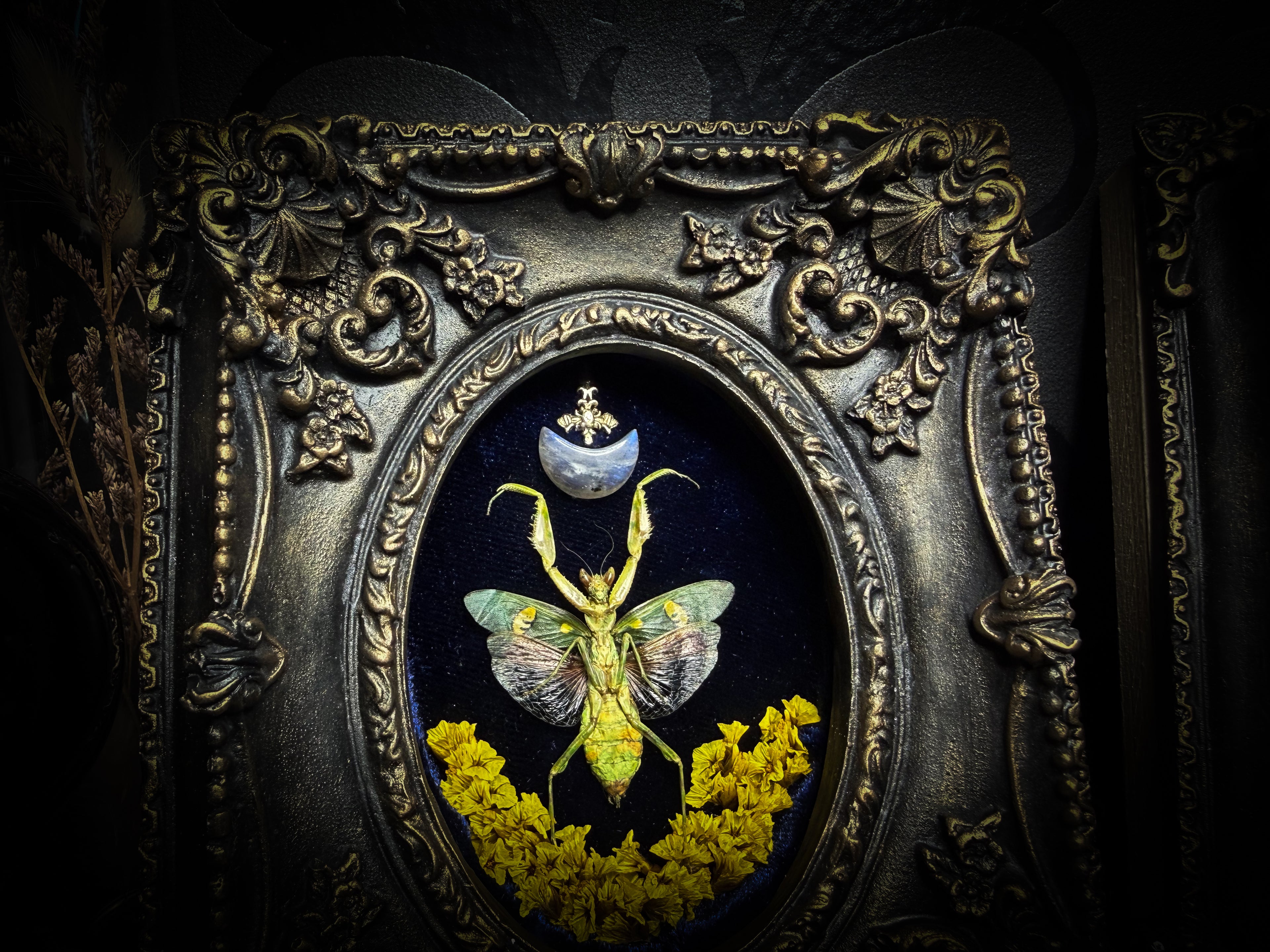 Mantis Twin Frames | Other Insects — handmade gothic wall decor with real preserved mantis pair, labradorite moons, preserved flowers in aged hand-painted vintage frames with metallic accents, 14.5x11.5cm each