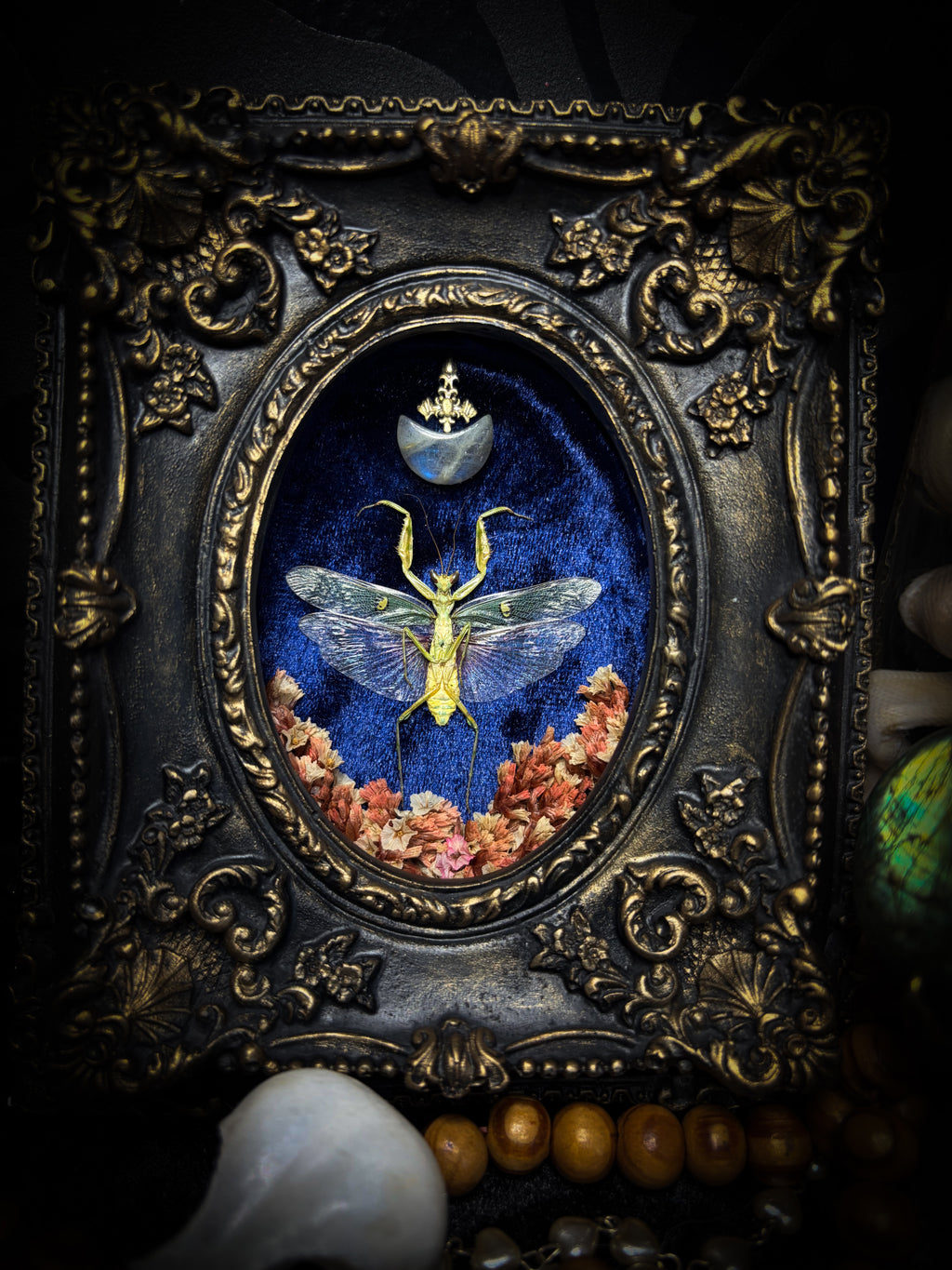 Mantis Twin Frames | Other Insects — handmade gothic wall decor with real preserved mantis pair, labradorite moons, preserved flowers in aged hand-painted vintage frames with metallic accents, 14.5x11.5cm each