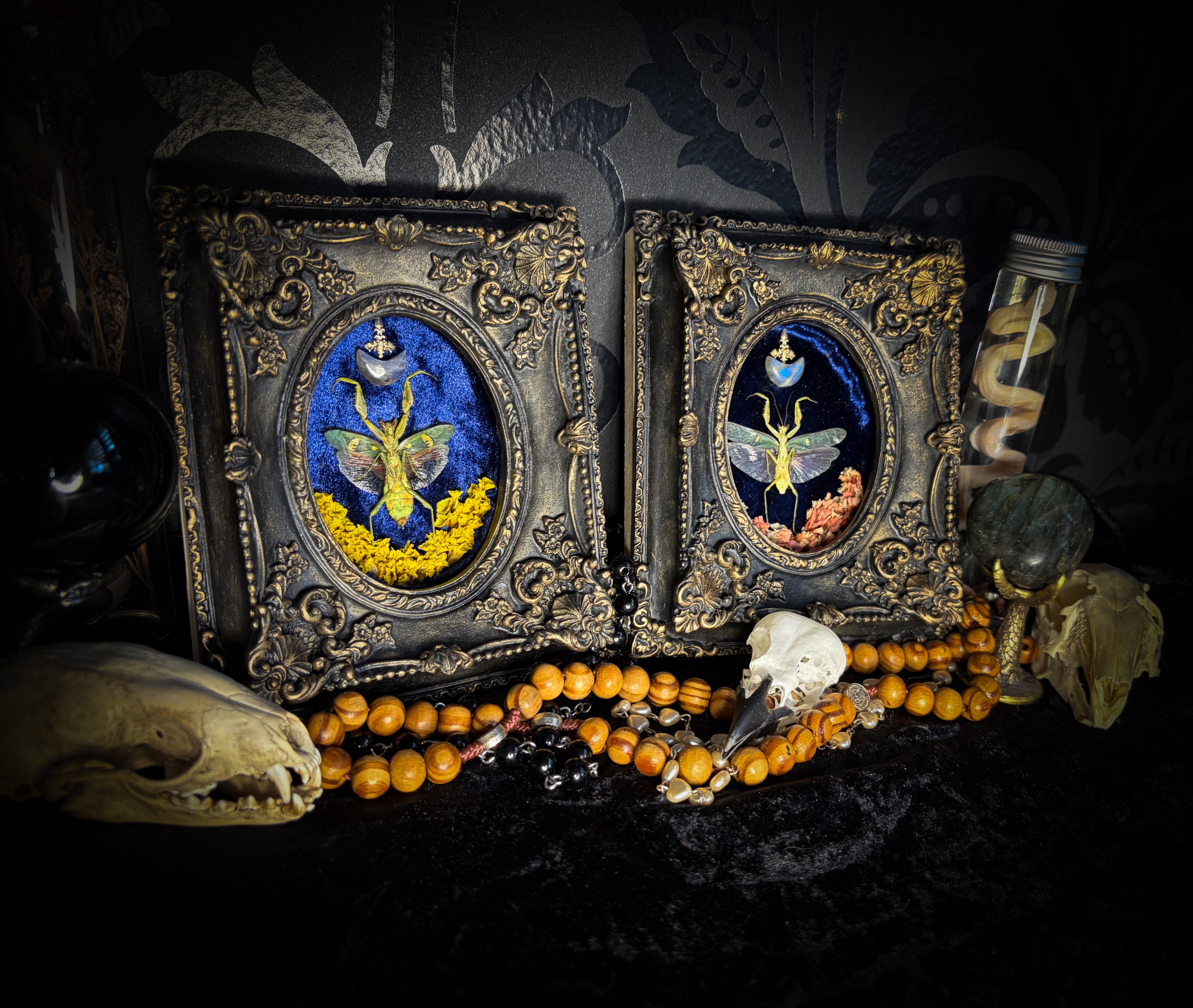 Mantis Twin Frames | Other Insects — handmade gothic wall decor with real preserved mantis pair, labradorite moons, preserved flowers in aged hand-painted vintage frames with metallic accents, 14.5x11.5cm each