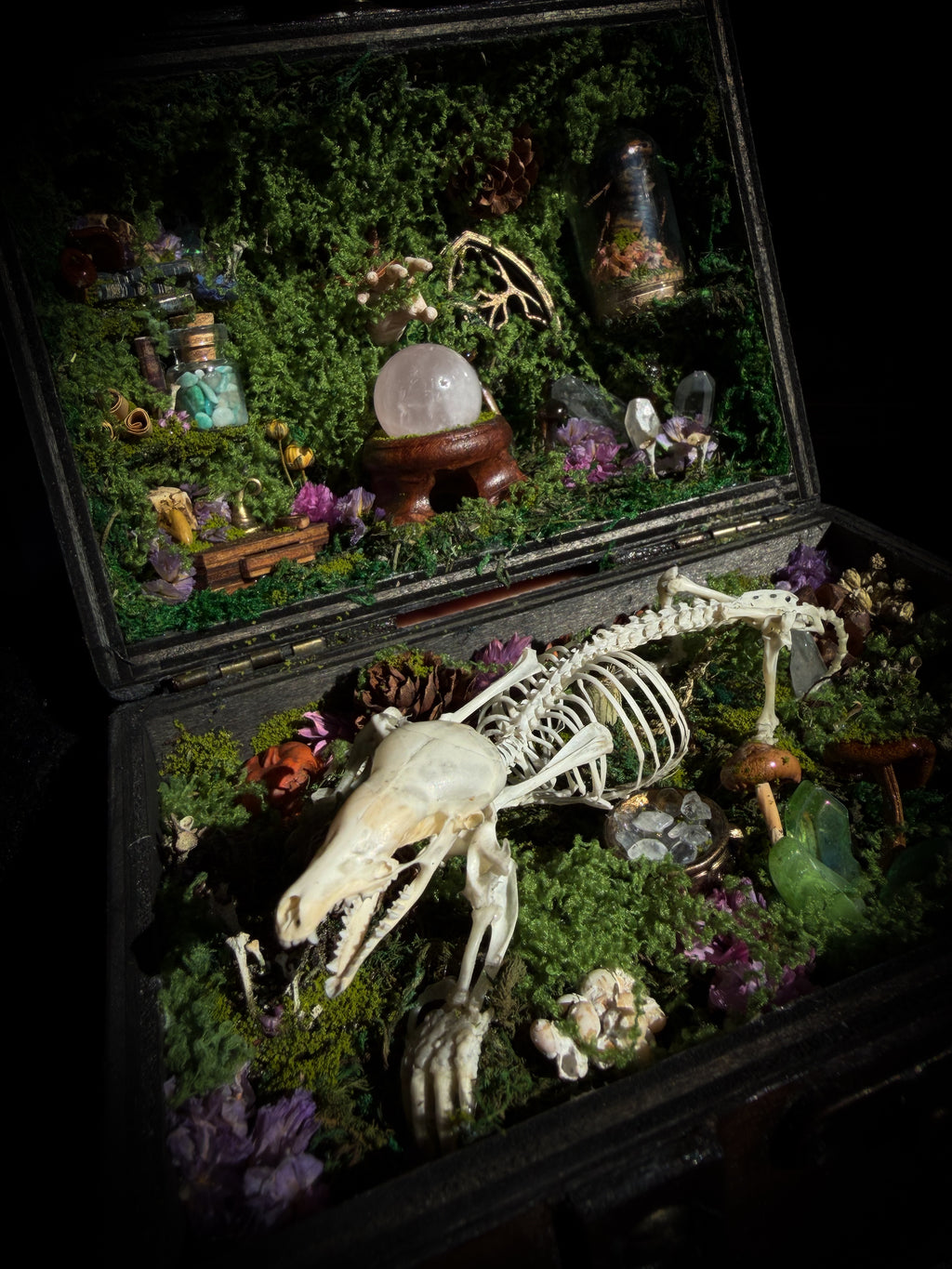 Peculiar Alchemist — one-of-a-kind handmade witchy fairycore reliquary in a hand-stained wooden cabinet with a mole skeleton, preserved hornet, rose quartz orb, turquoise, miniature books, moss and alchemical curiosities.