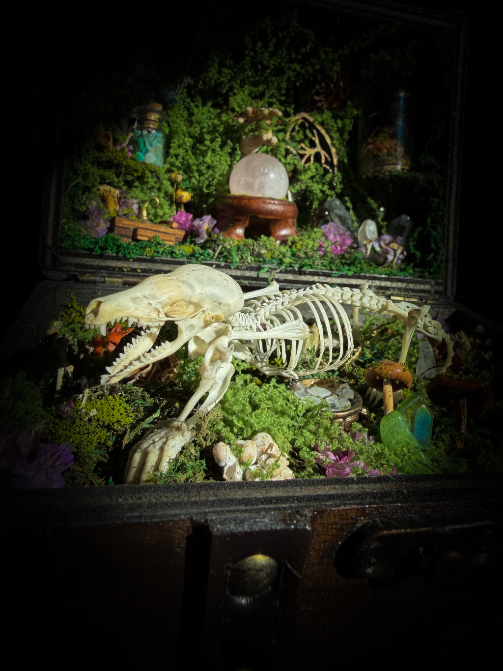 Peculiar Alchemist — one-of-a-kind handmade witchy fairycore reliquary in a hand-stained wooden cabinet with a mole skeleton, preserved hornet, rose quartz orb, turquoise, miniature books, moss and alchemical curiosities.