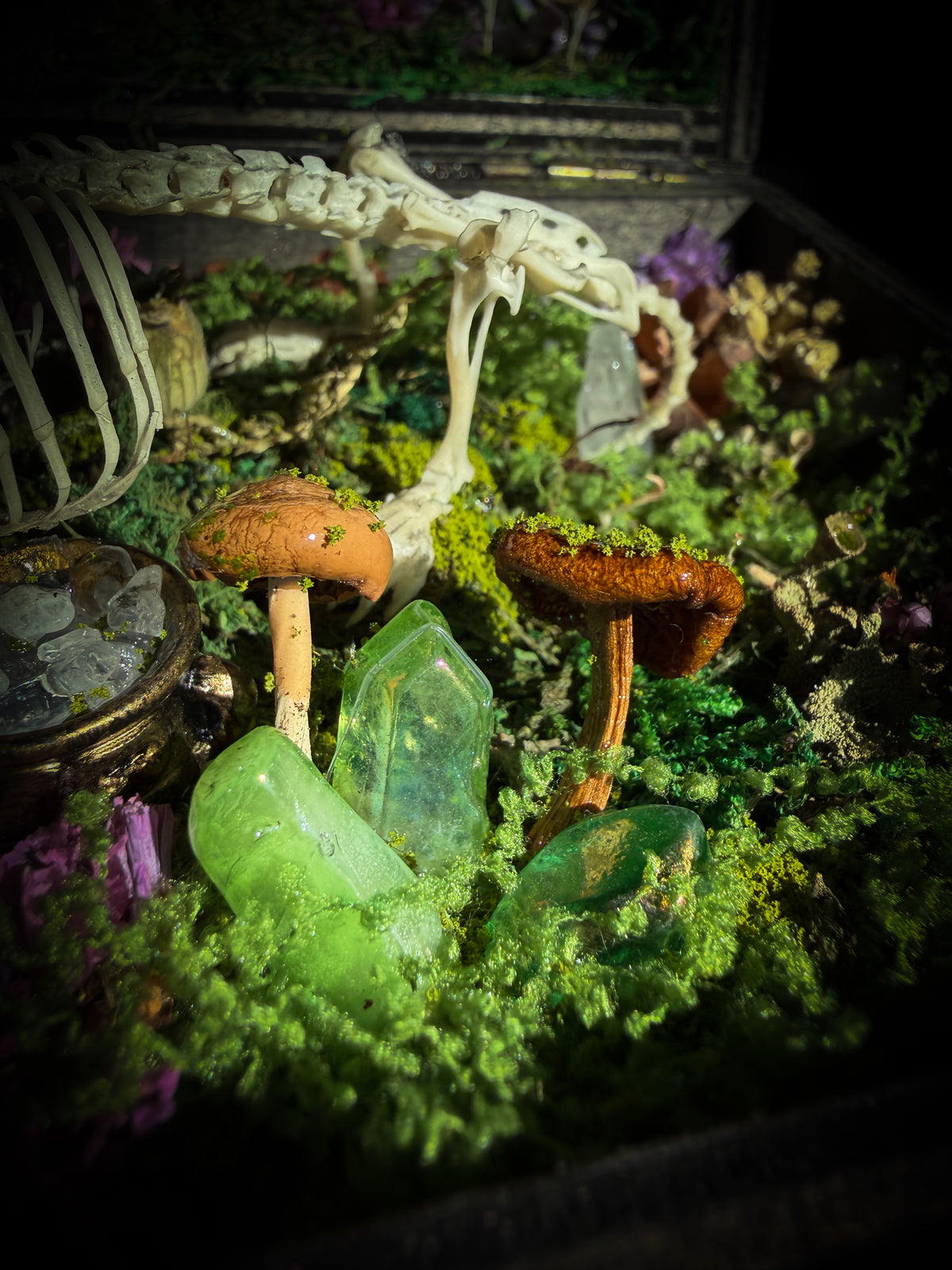 Peculiar Alchemist — one-of-a-kind handmade witchy fairycore reliquary in a hand-stained wooden cabinet with a mole skeleton, preserved hornet, rose quartz orb, turquoise, miniature books, moss and alchemical curiosities.