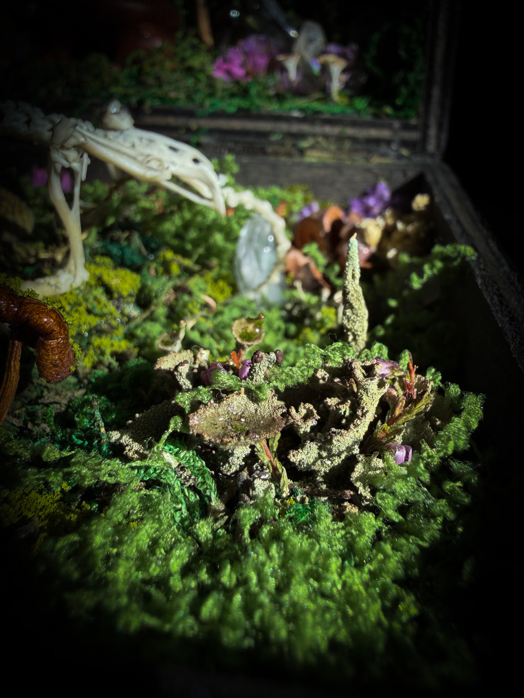 Peculiar Alchemist — one-of-a-kind handmade witchy fairycore reliquary in a hand-stained wooden cabinet with a mole skeleton, preserved hornet, rose quartz orb, turquoise, miniature books, moss and alchemical curiosities.