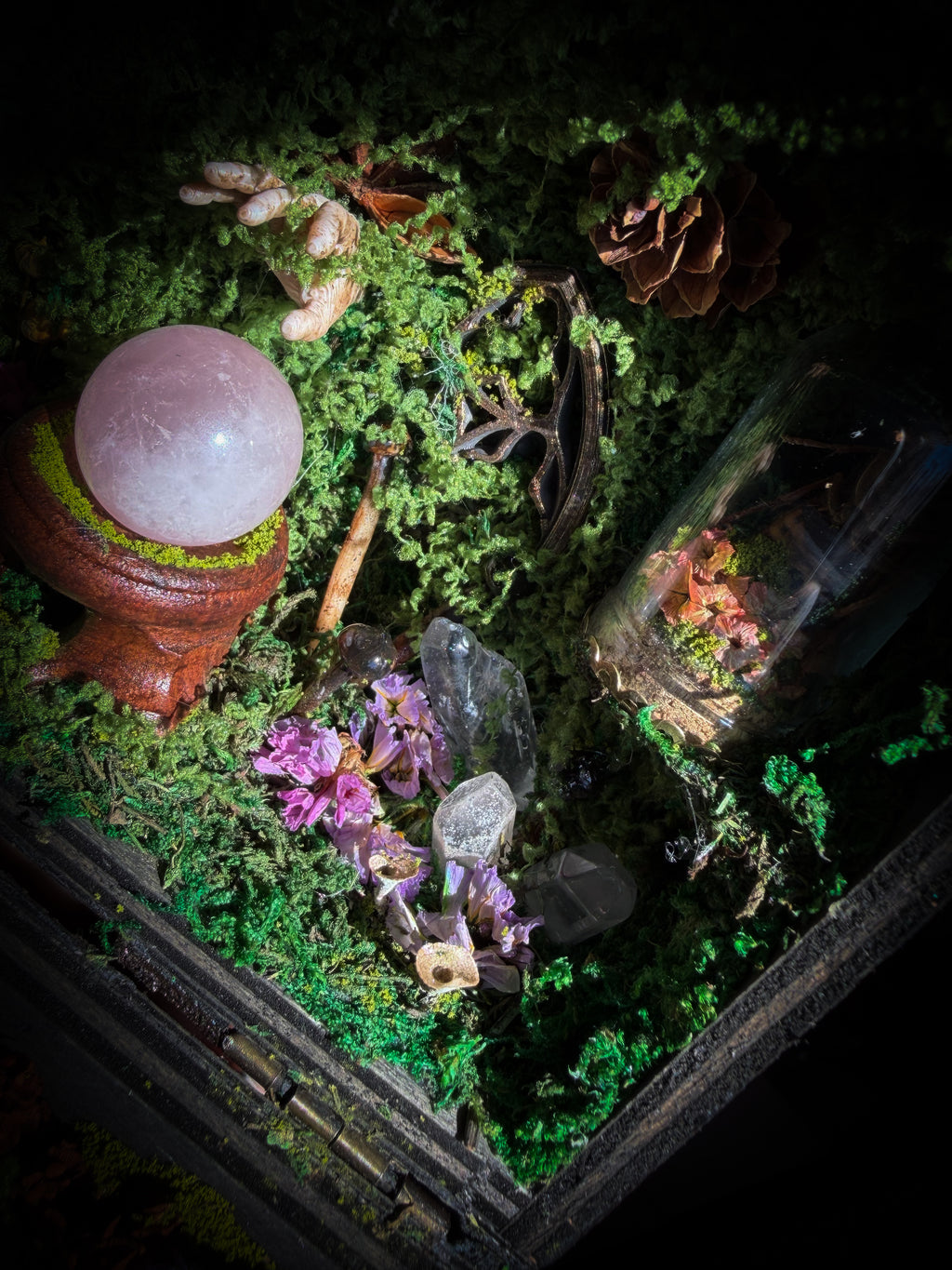 Peculiar Alchemist — one-of-a-kind handmade witchy fairycore reliquary in a hand-stained wooden cabinet with a mole skeleton, preserved hornet, rose quartz orb, turquoise, miniature books, moss and alchemical curiosities.