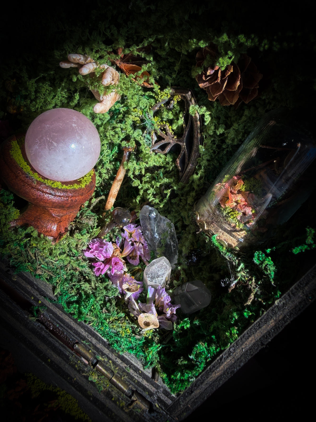Peculiar Alchemist — one-of-a-kind handmade witchy fairycore reliquary in a hand-stained wooden cabinet with a mole skeleton, preserved hornet, rose quartz orb, turquoise, miniature books, moss and alchemical curiosities.