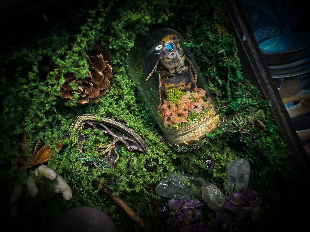 Peculiar Alchemist — one-of-a-kind handmade witchy fairycore reliquary in a hand-stained wooden cabinet with a mole skeleton, preserved hornet, rose quartz orb, turquoise, miniature books, moss and alchemical curiosities.
