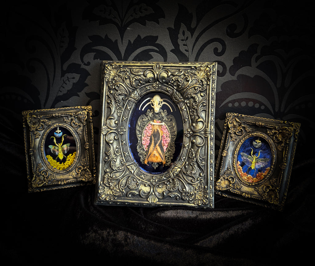Floral Delight | Bats — handmade gothic wall decor with real preserved bat, bat skull, bone ribs, deep pink preserved flowers on navy velvet in aged hand-cast ornamental frame with glass, 25x19cm