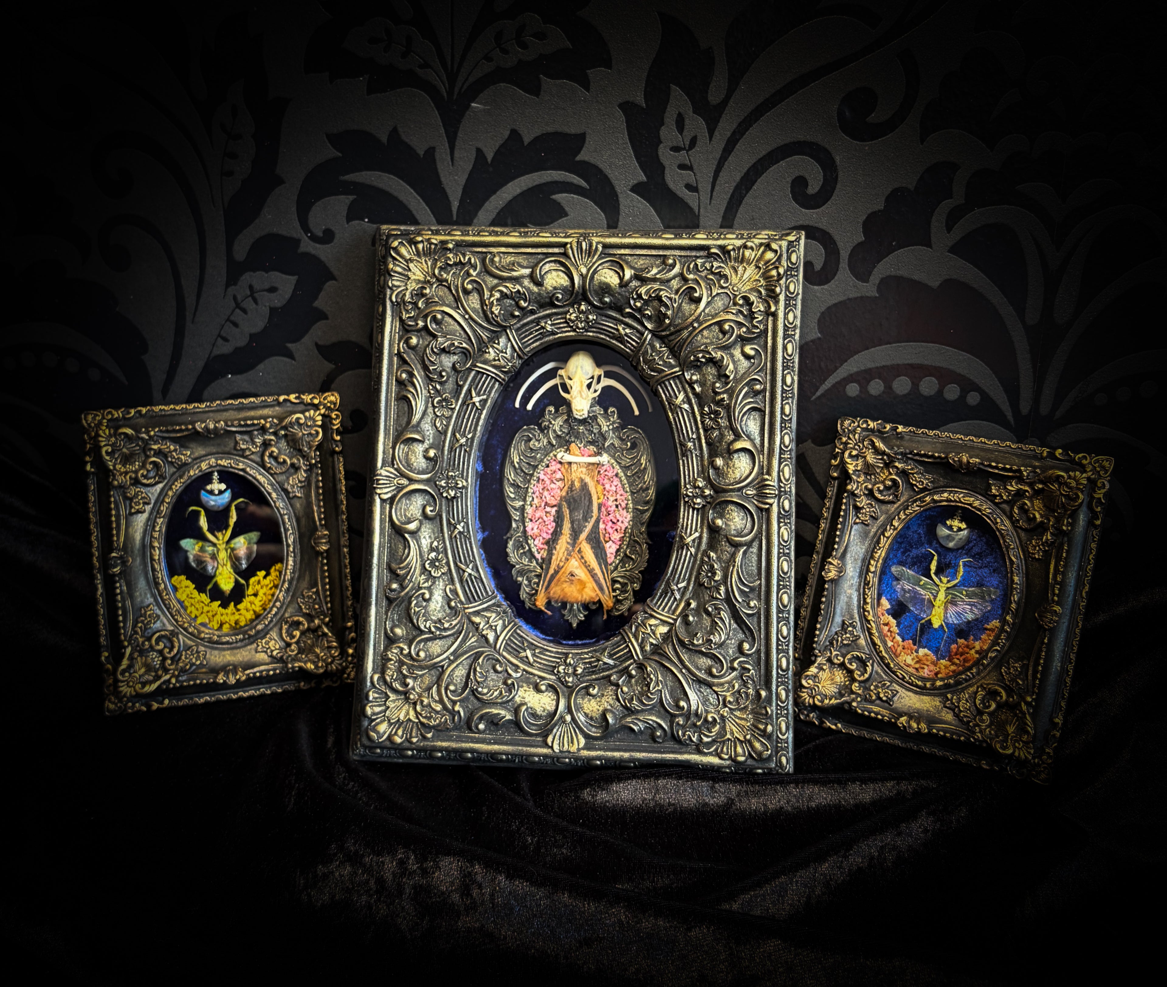 Floral Delight | Bats — handmade gothic wall decor with real preserved bat, bat skull, bone ribs, deep pink preserved flowers on navy velvet in aged hand-cast ornamental frame with glass, 25x19cm