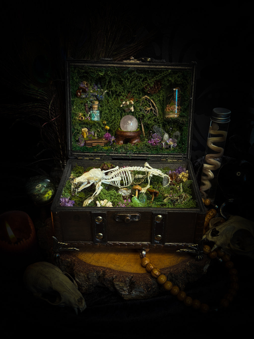 Peculiar Alchemist — one-of-a-kind handmade witchy fairycore reliquary in a hand-stained wooden cabinet with a mole skeleton, preserved hornet, rose quartz orb, turquoise, miniature books, moss and alchemical curiosities.